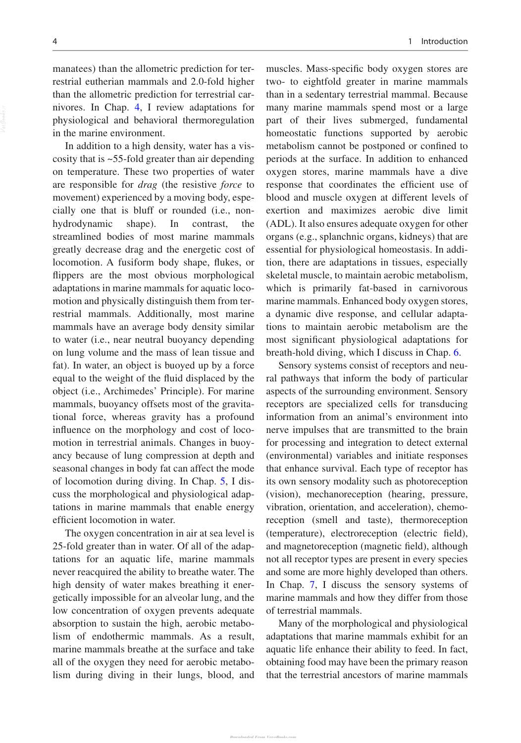 Marine Mammals Adaptations For An Aquatic Life