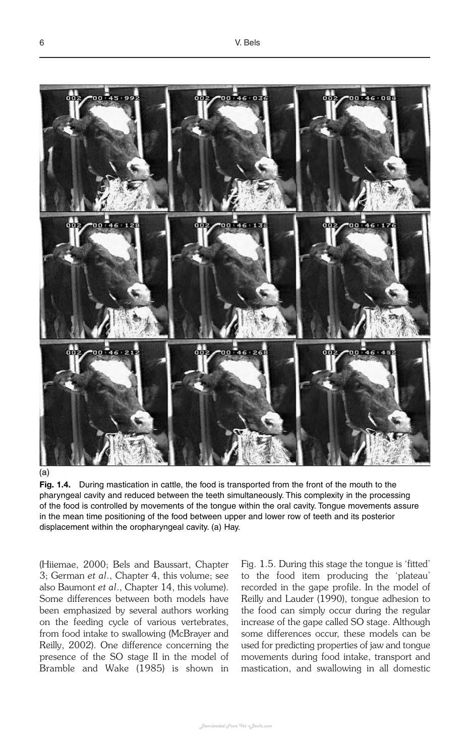 Look inside — page 14