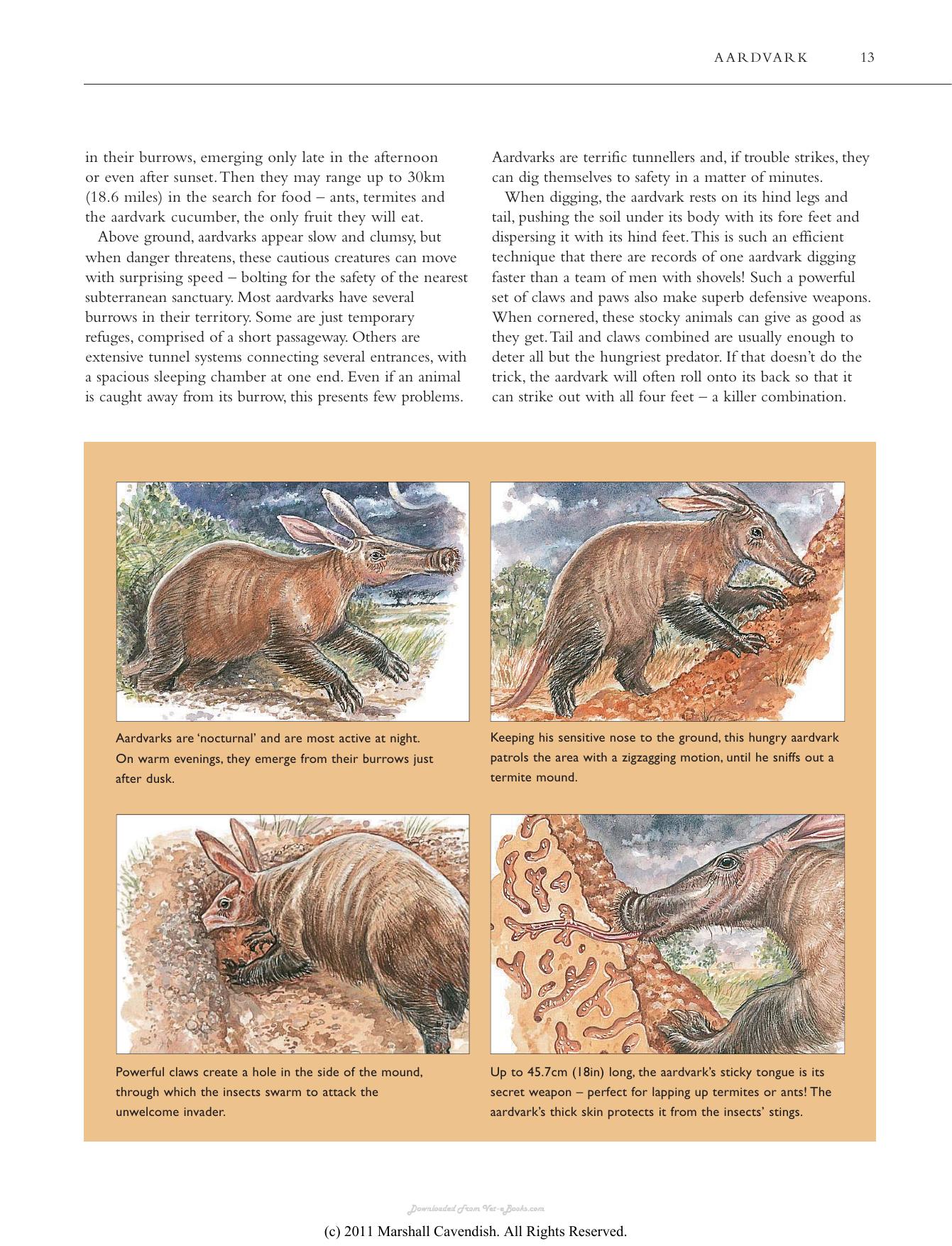 Atlas Of The Worlds Strangest Animals