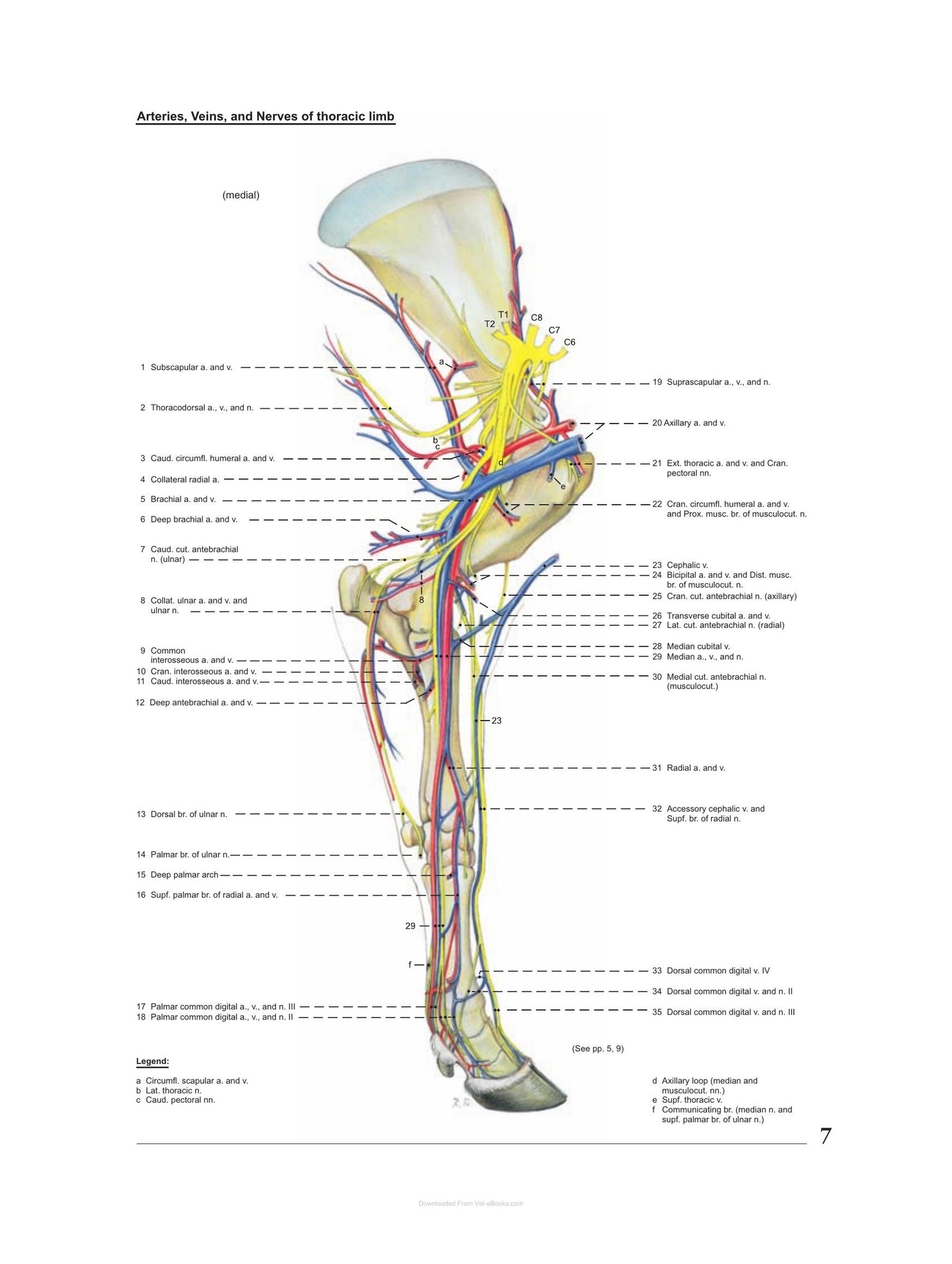 Look inside — page 14