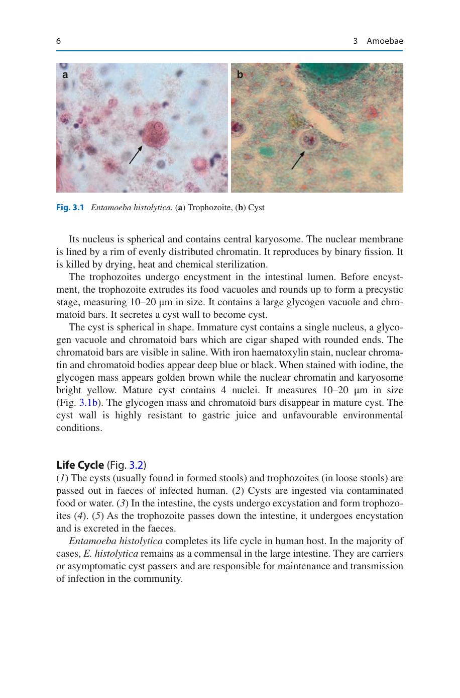 Medical Parasitology A Textbook