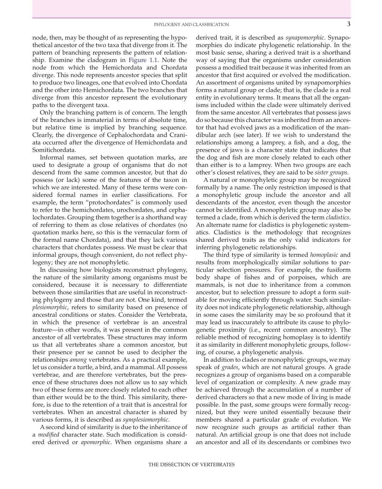 The Dissection Of Vertebrates 2Nd Edition
