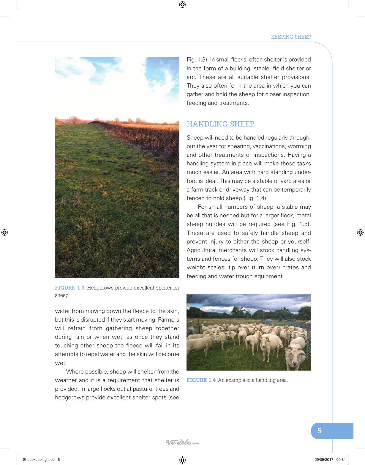 Sheep Keeping The Professional Smallholder Series