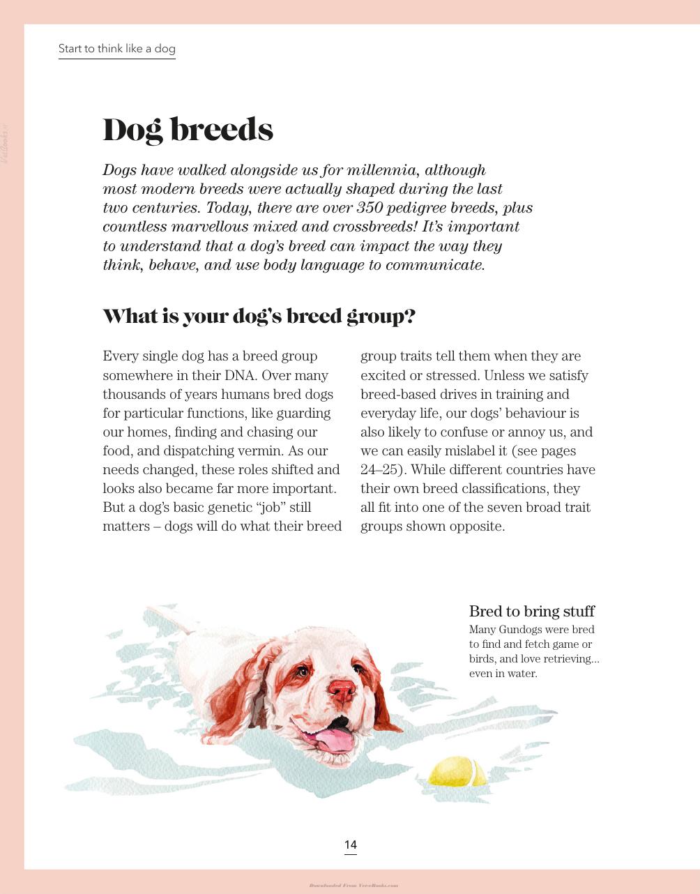 Whats My Dog Thinking Understand Your Dog To Give Them A Happy Life