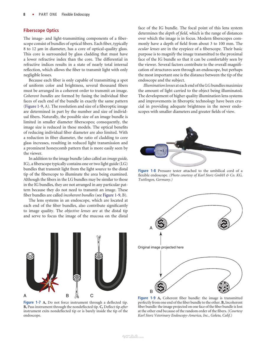 Preview page of Small Animal Endoscopy 3rd Edition