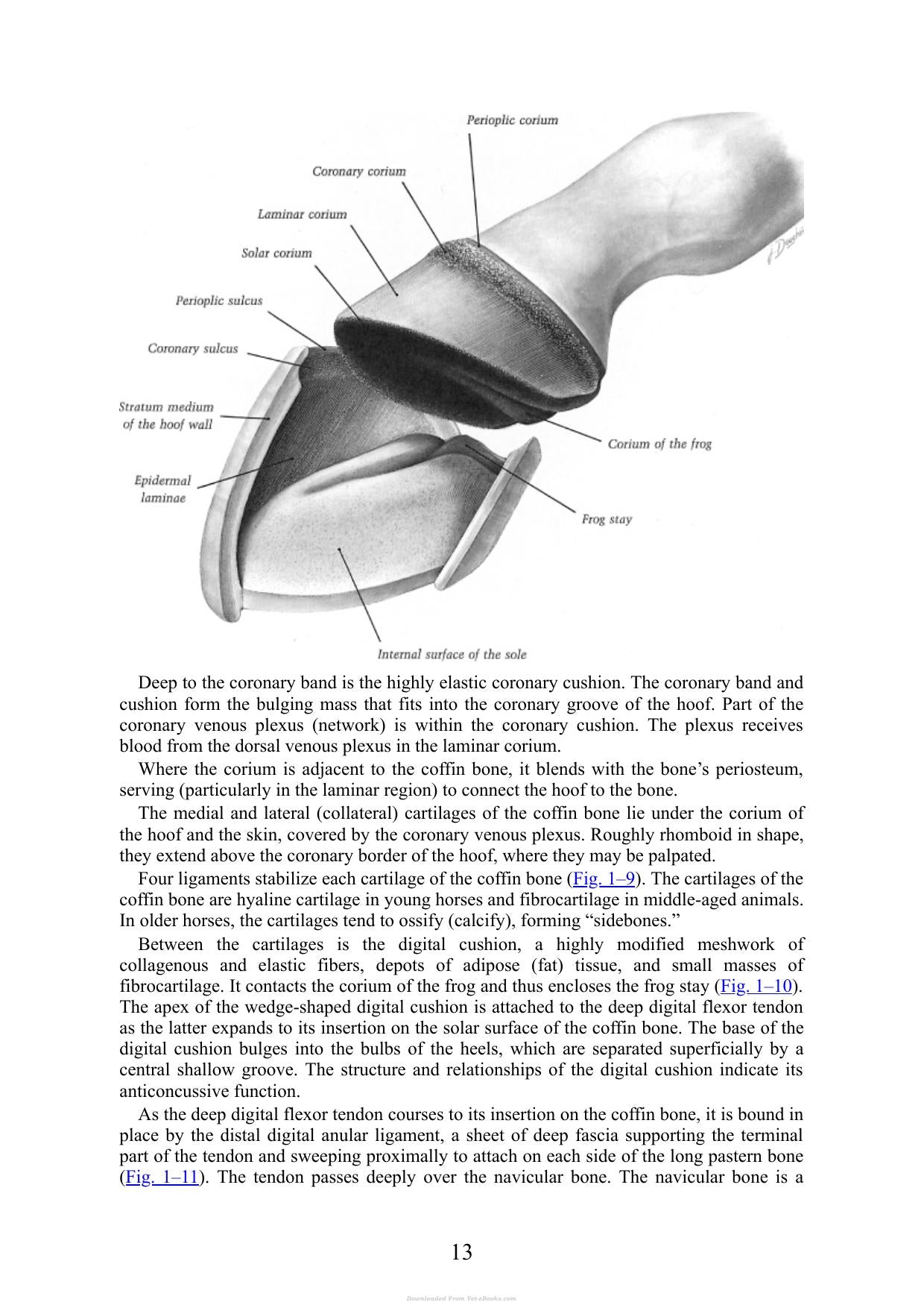 Look inside — page 14