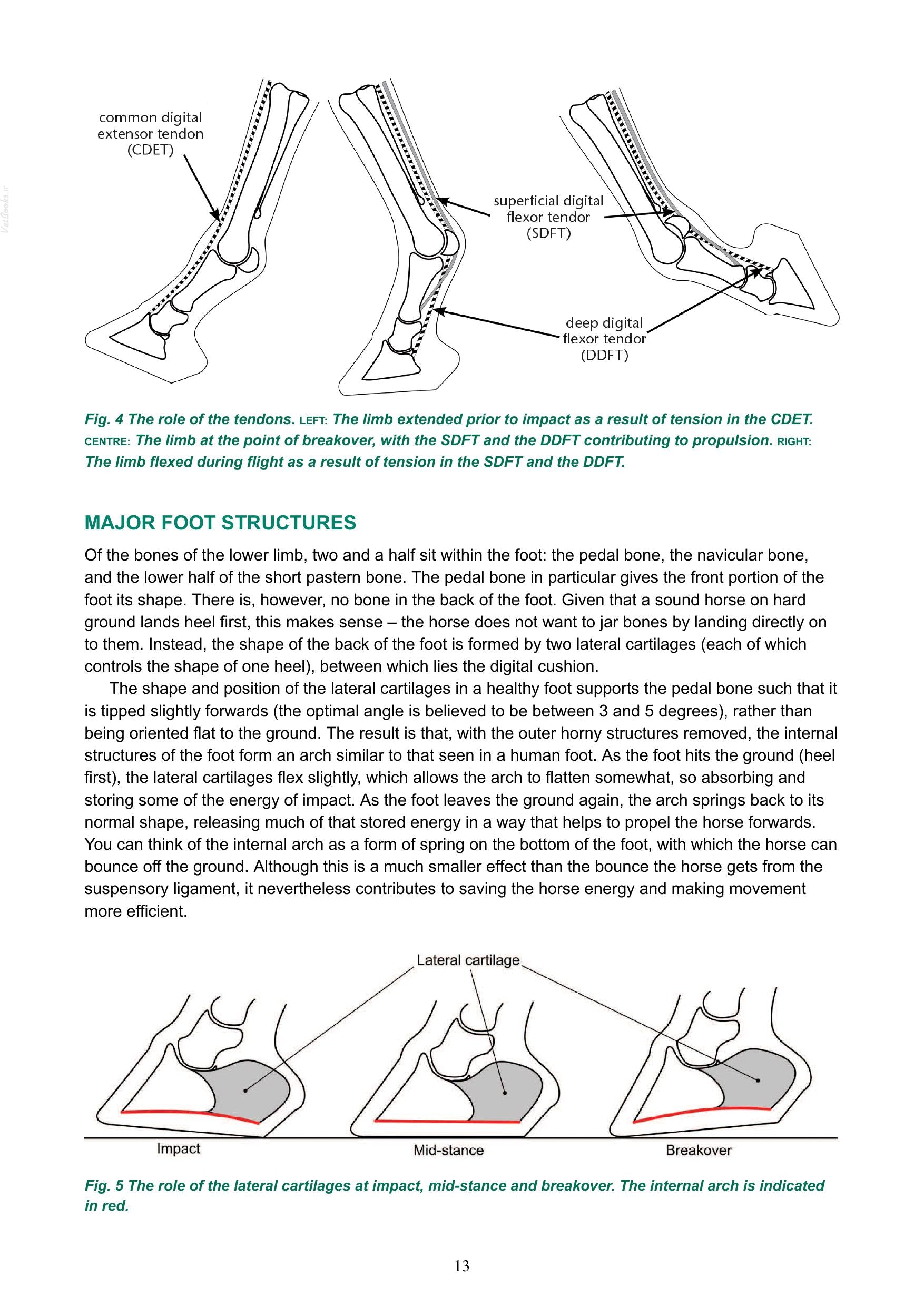 Look inside — page 14