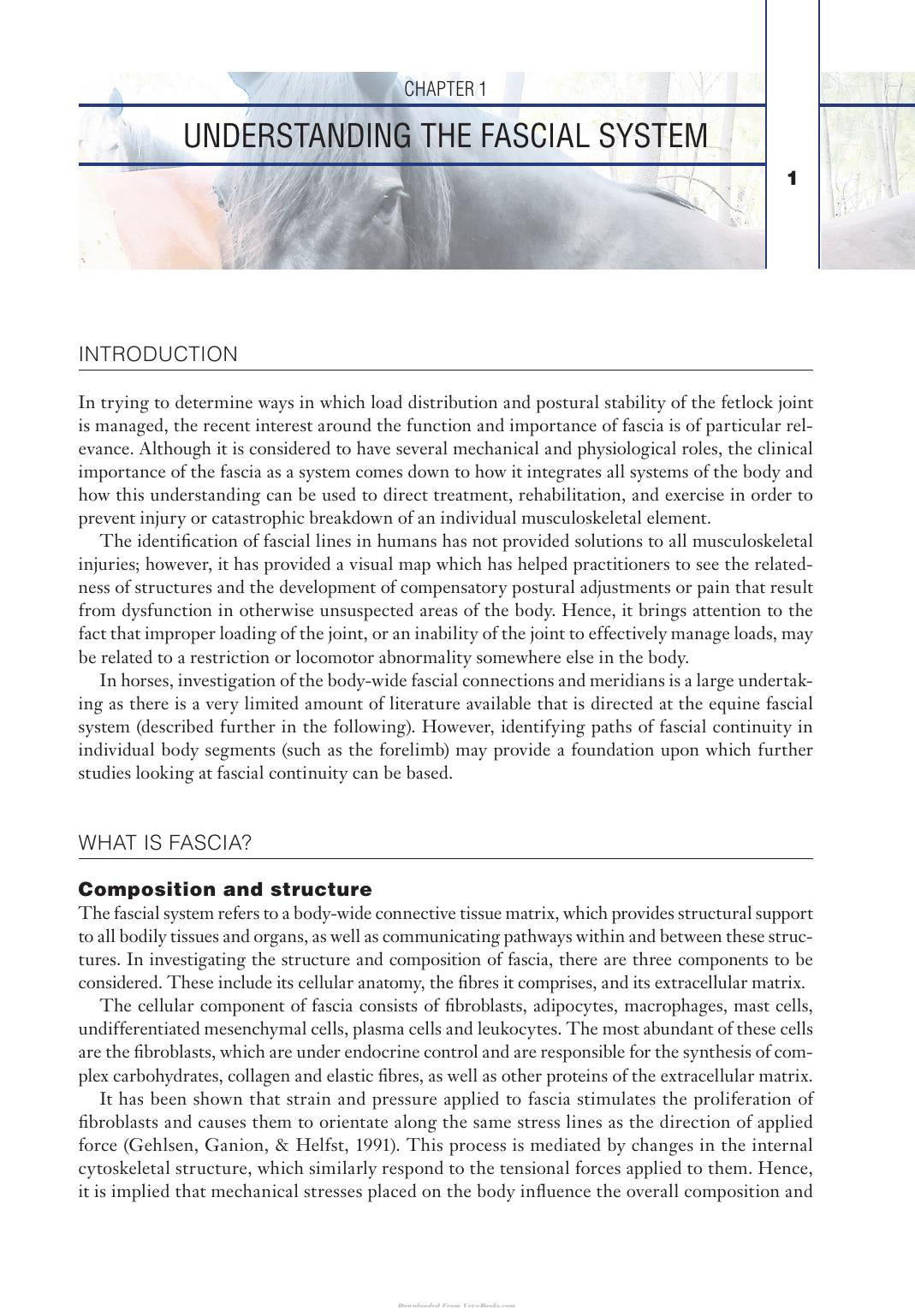 Look inside — page 14