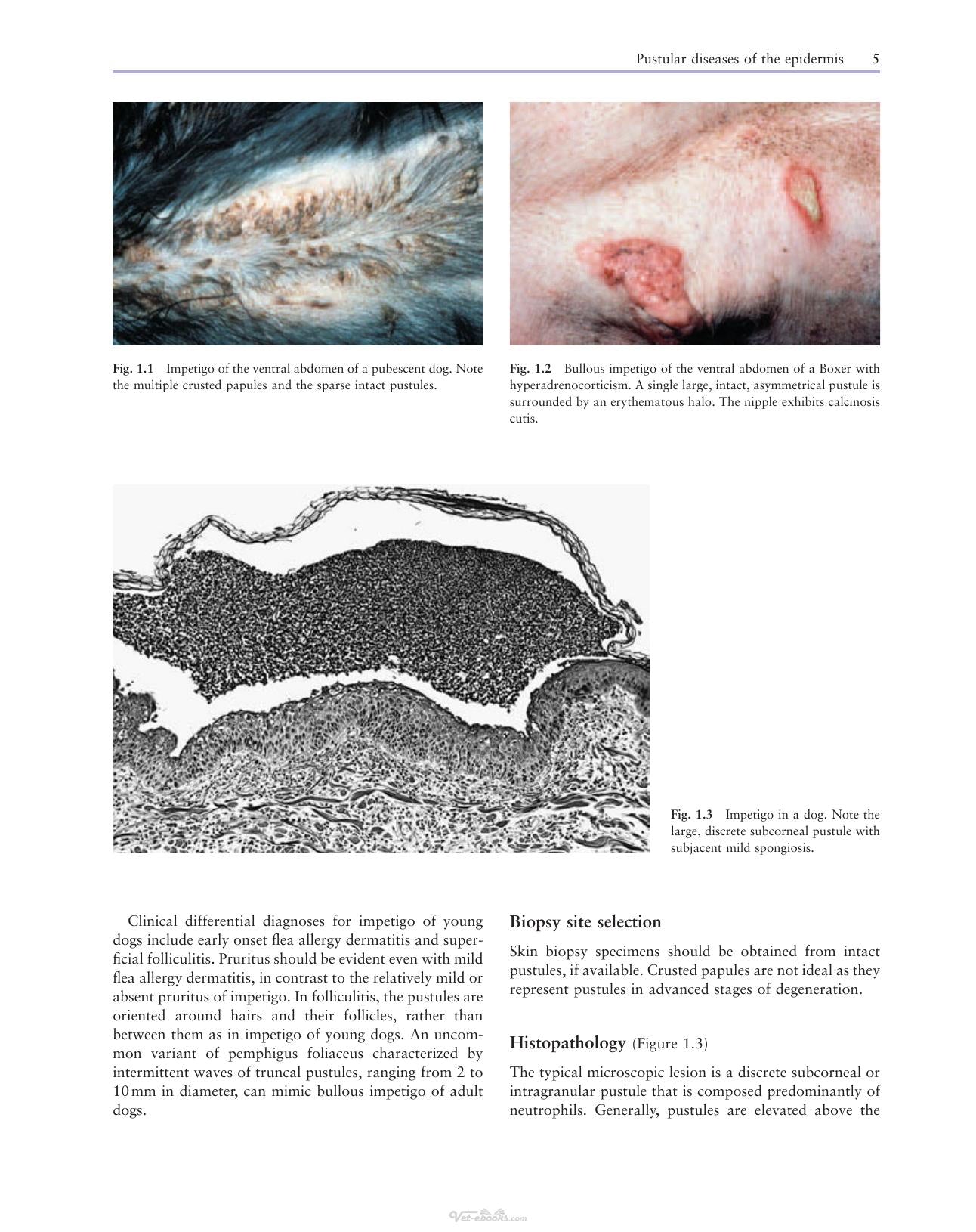 Look inside — page 14