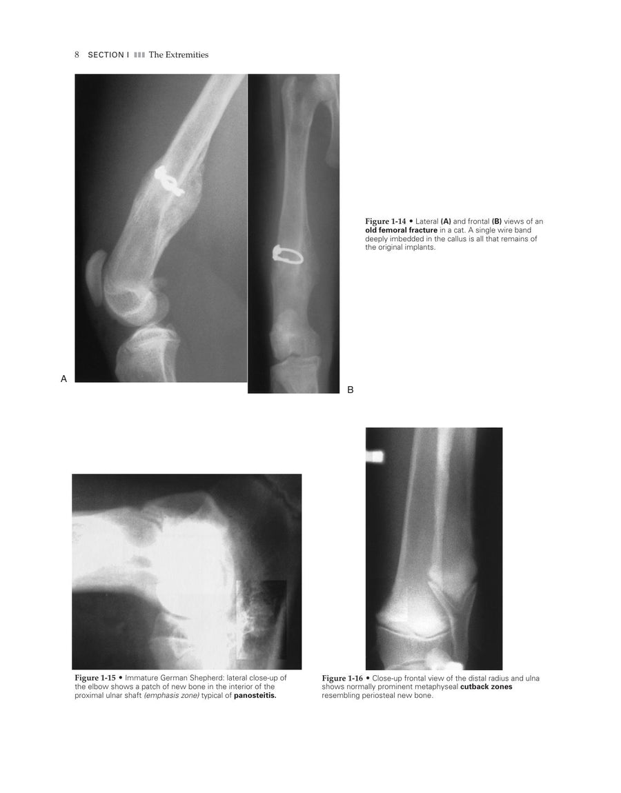 Preview page of Veterinary Diagnostic Imaging the Dog and Cat