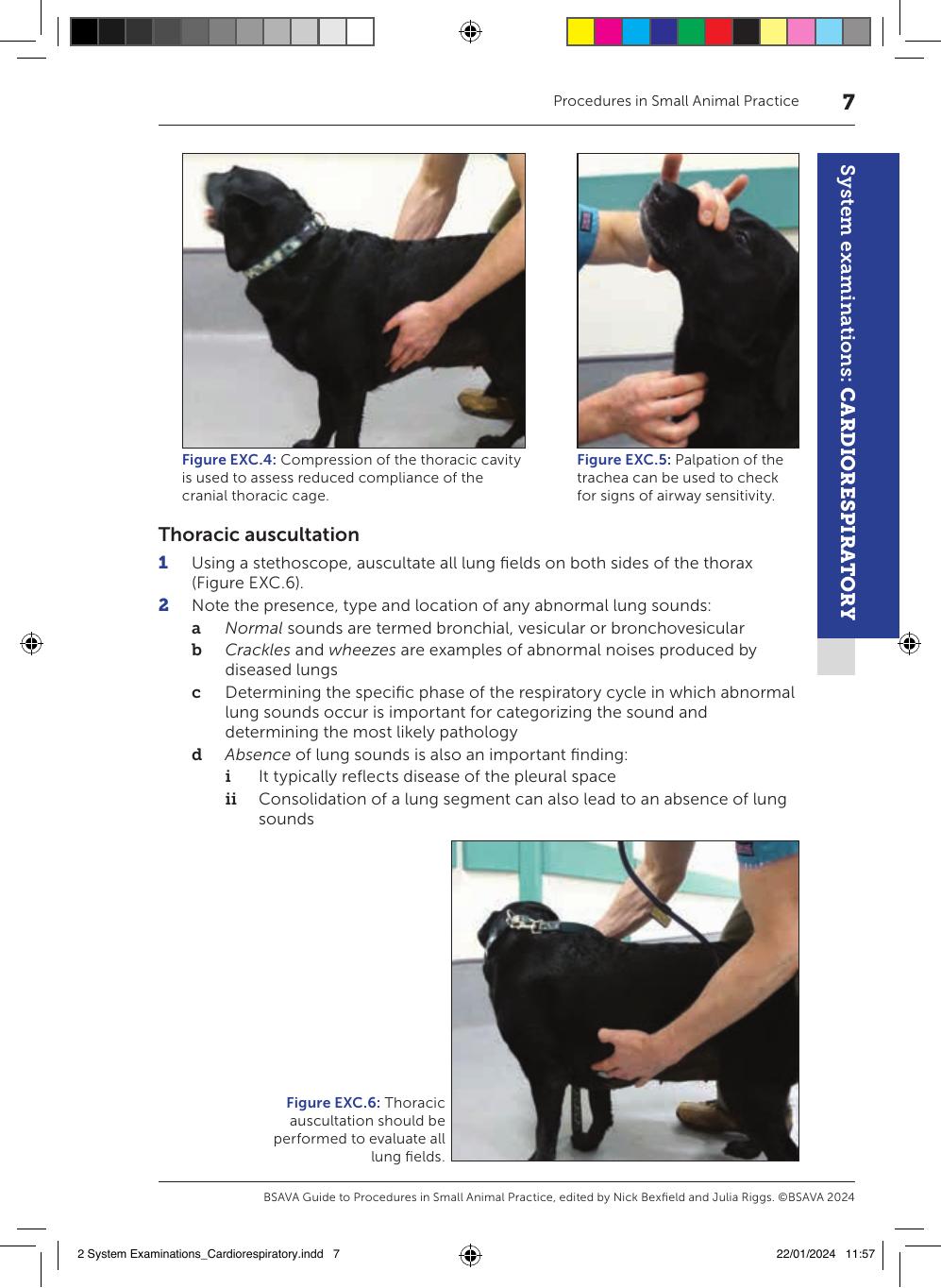 Bsava Guide To Procedures In Small Animal Practice 3Rd Edition