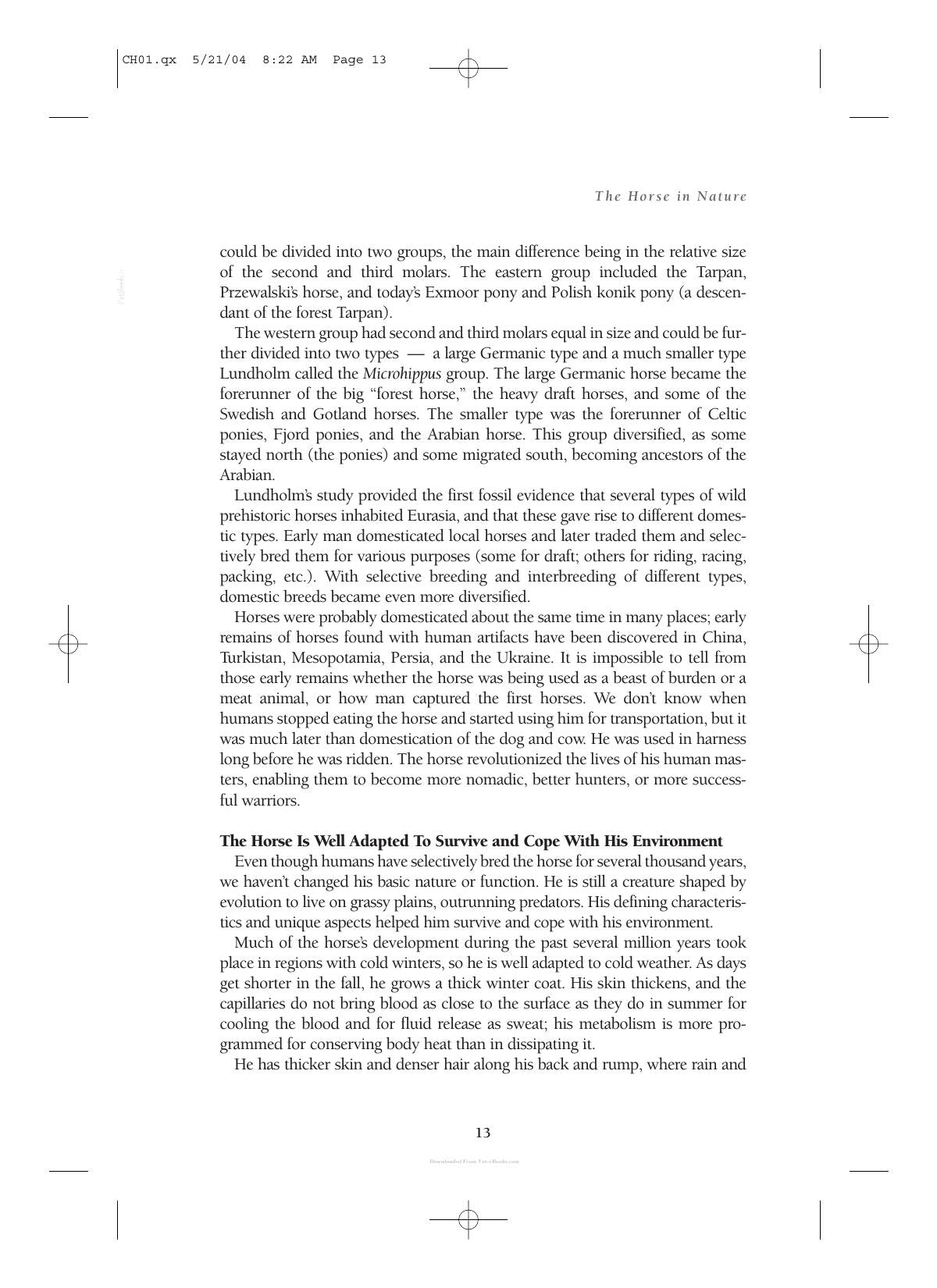Care And Management Of Horses A Practical Guide For The Horse Owner