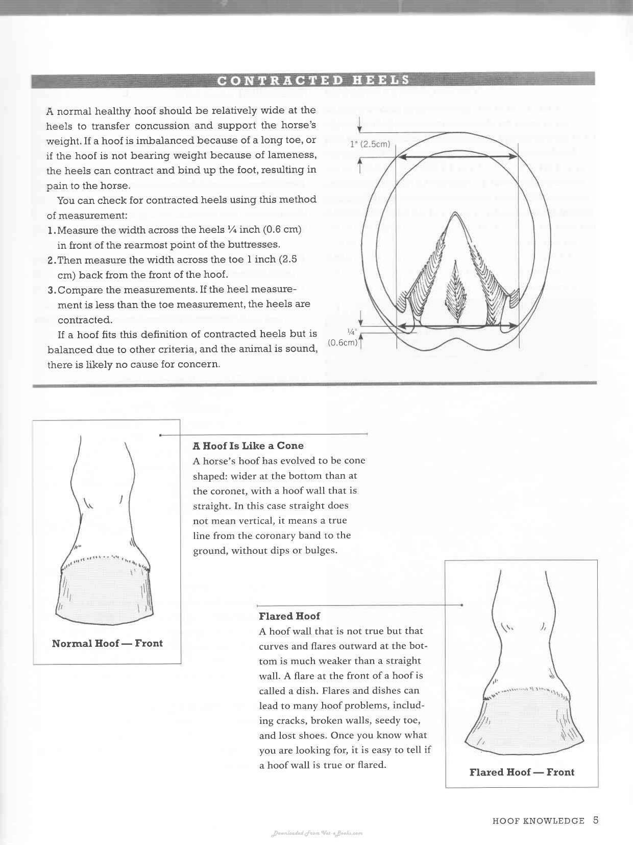 Look inside — page 14