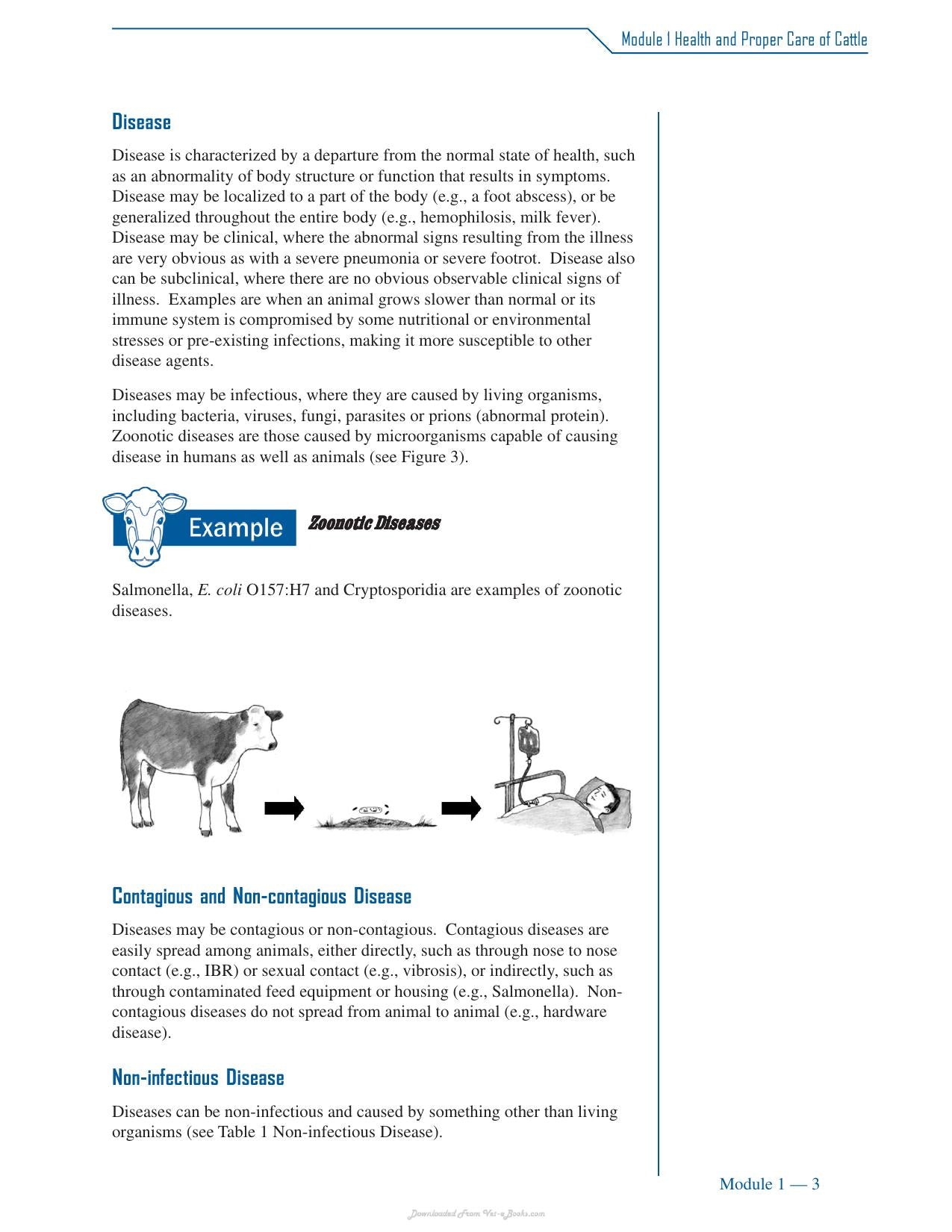 Cattle Medicine Responsible Use Course
