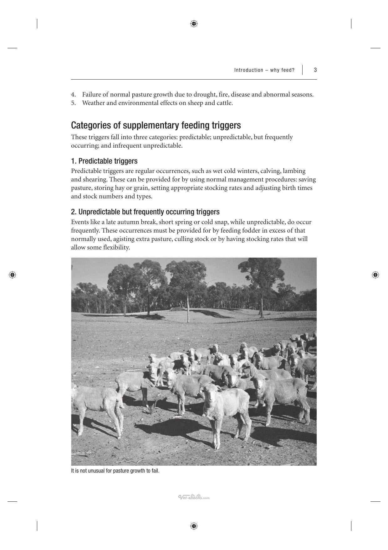 Supplementary Feeding Of Sheep And Beef Cattle 2Nd Edition