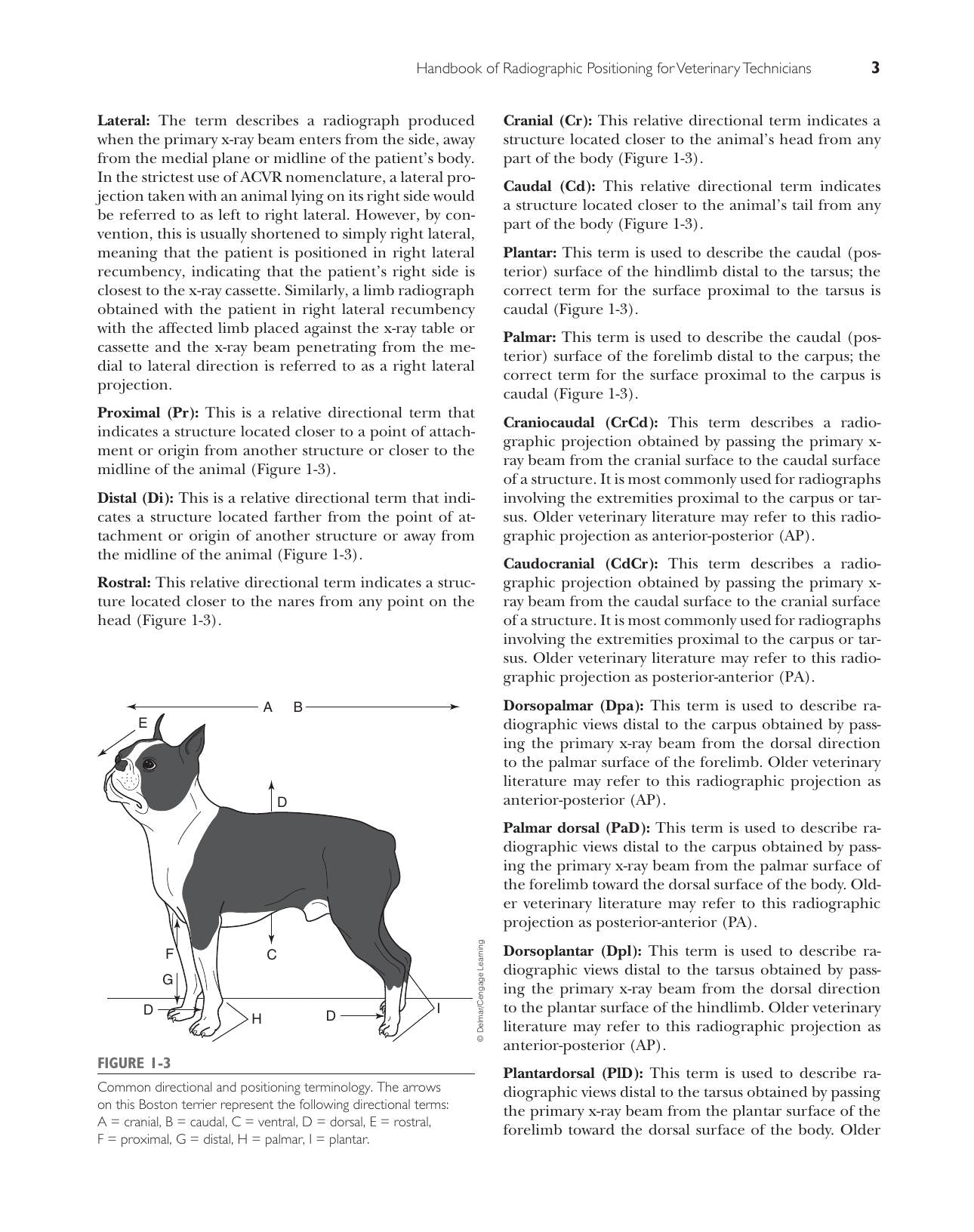Handbook Of Radiographic Positioning For Veterinary Technicians