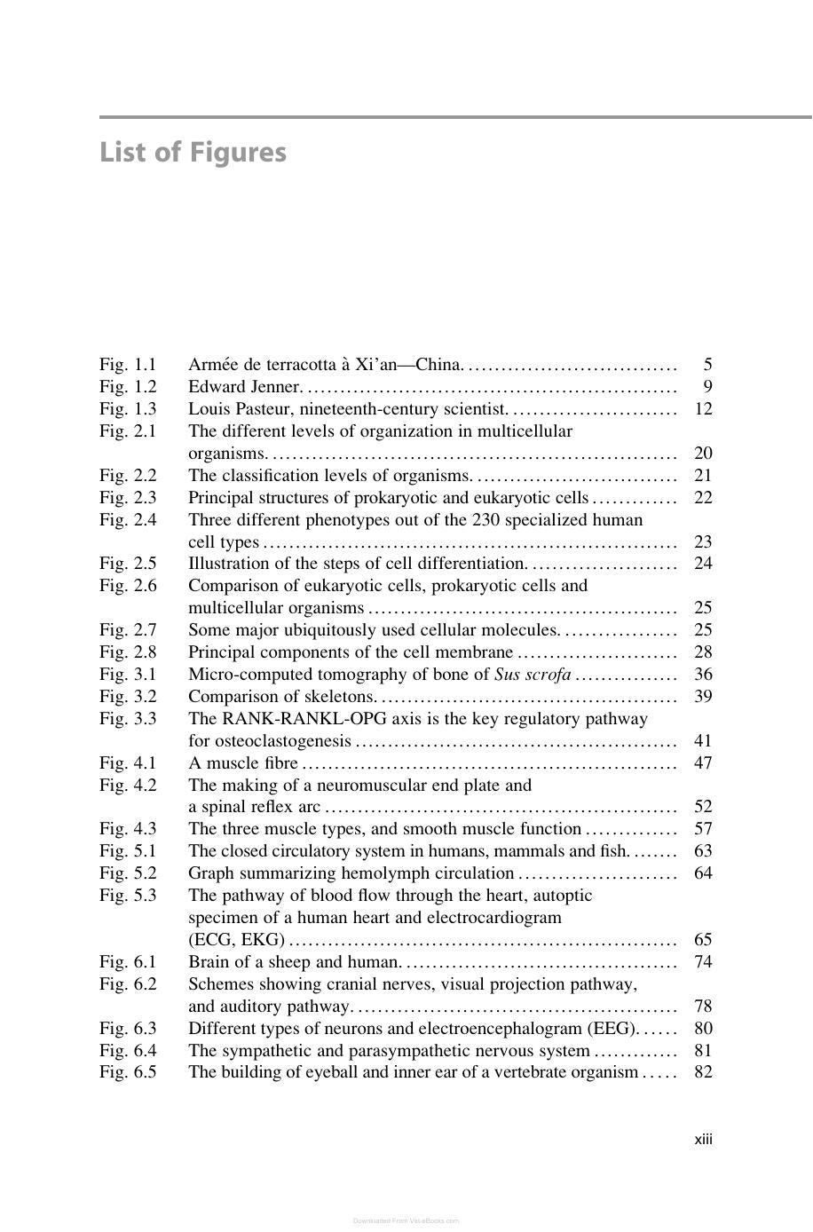 Comparative Medicine Anatomy And Physiology