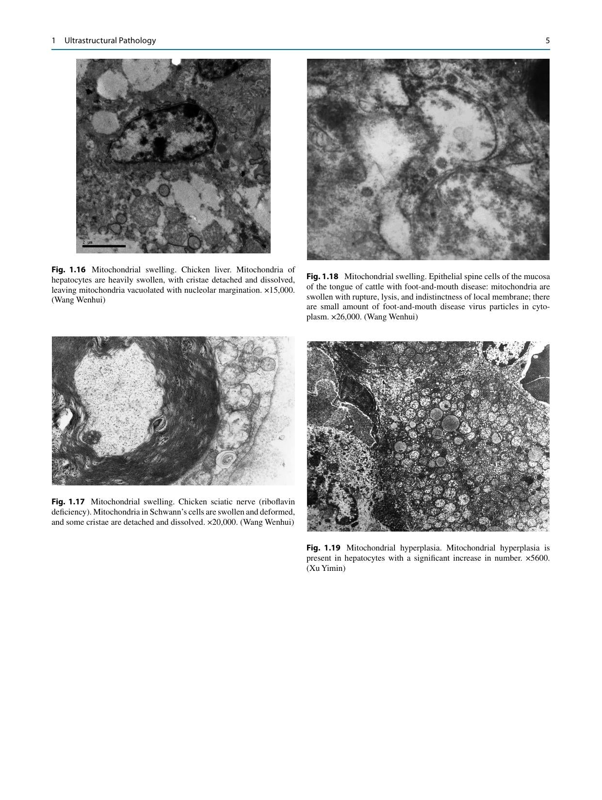 Look inside — page 14