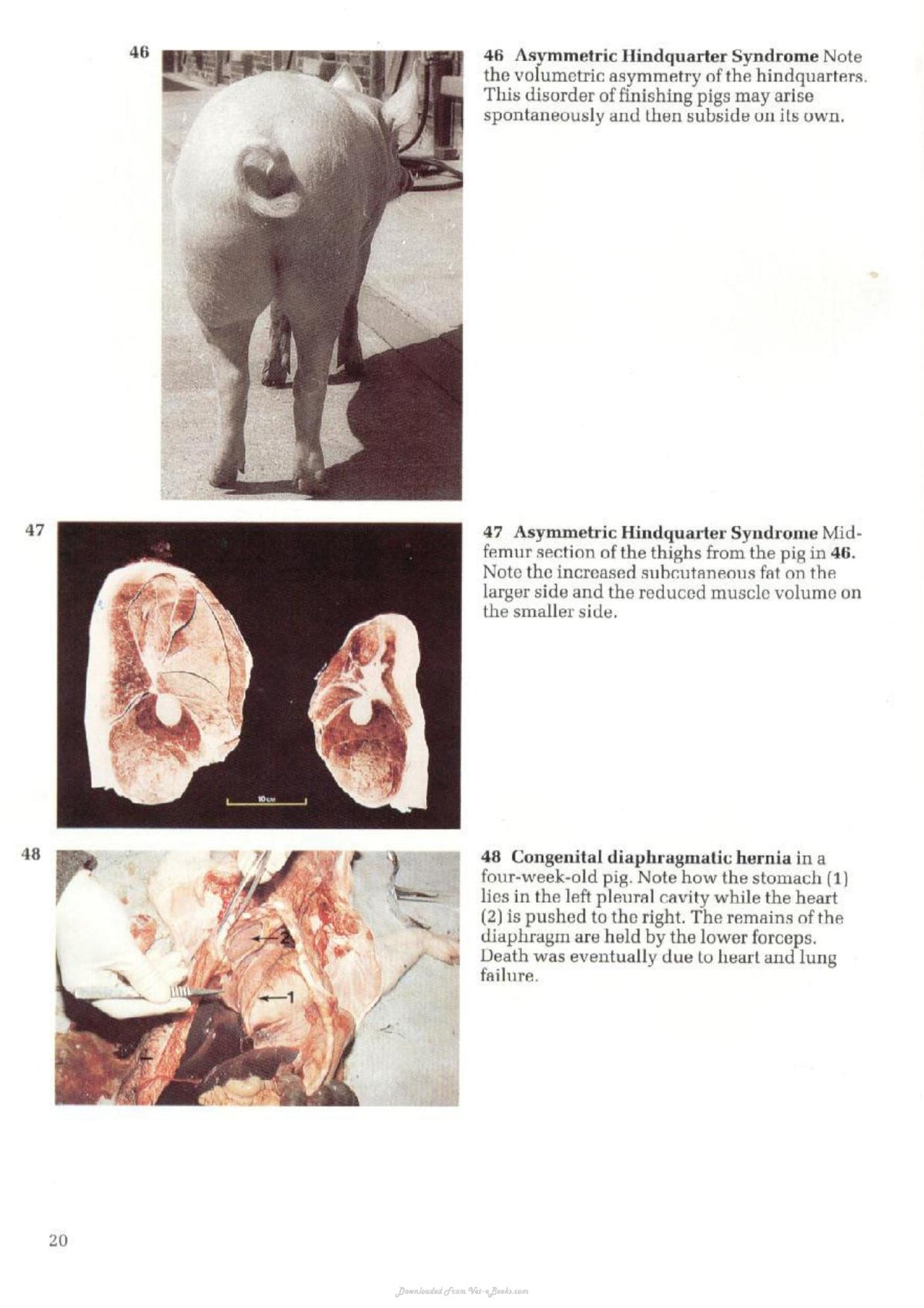Look inside — page 14