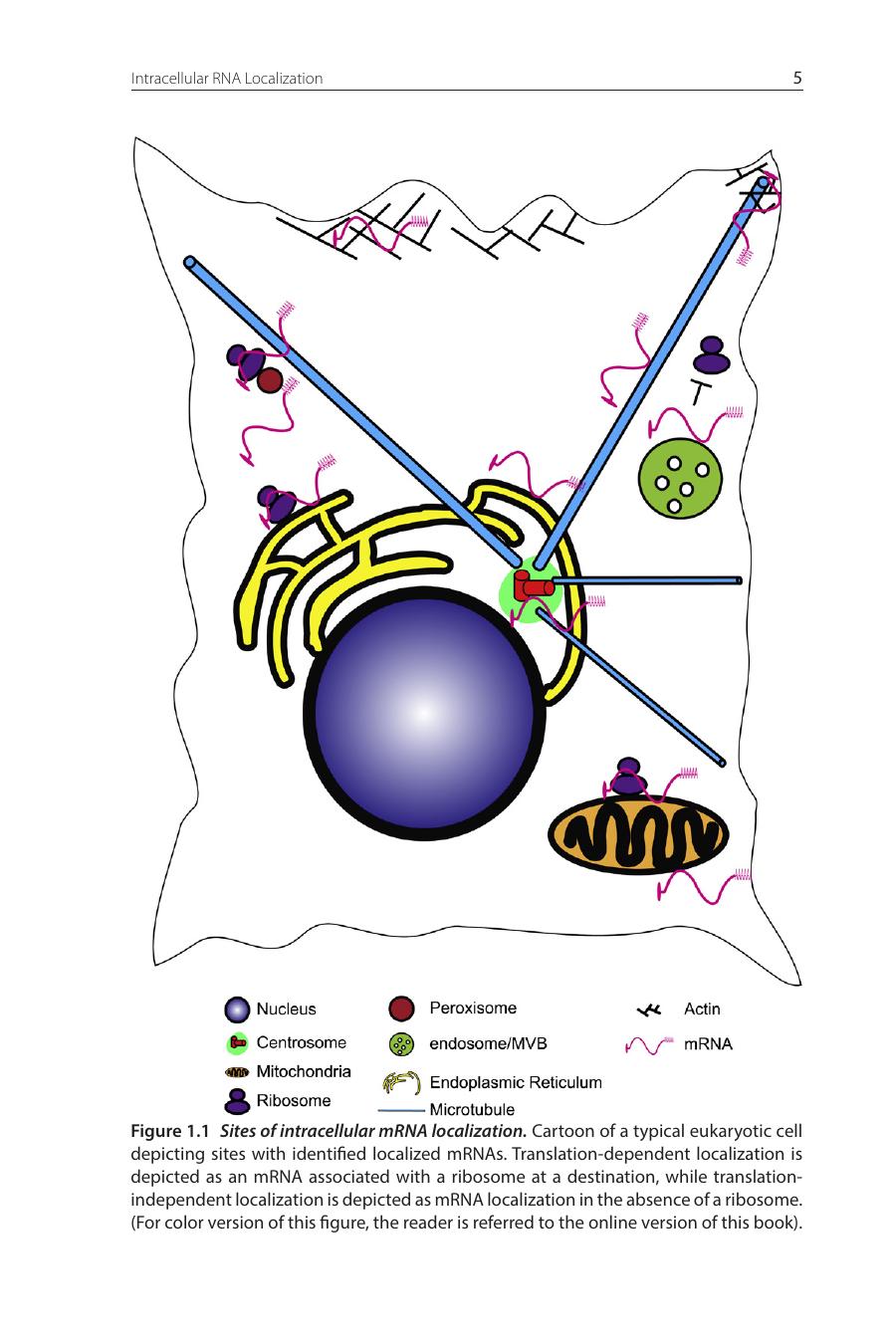 International Review Of Cell And Molecular Biology Volume 302