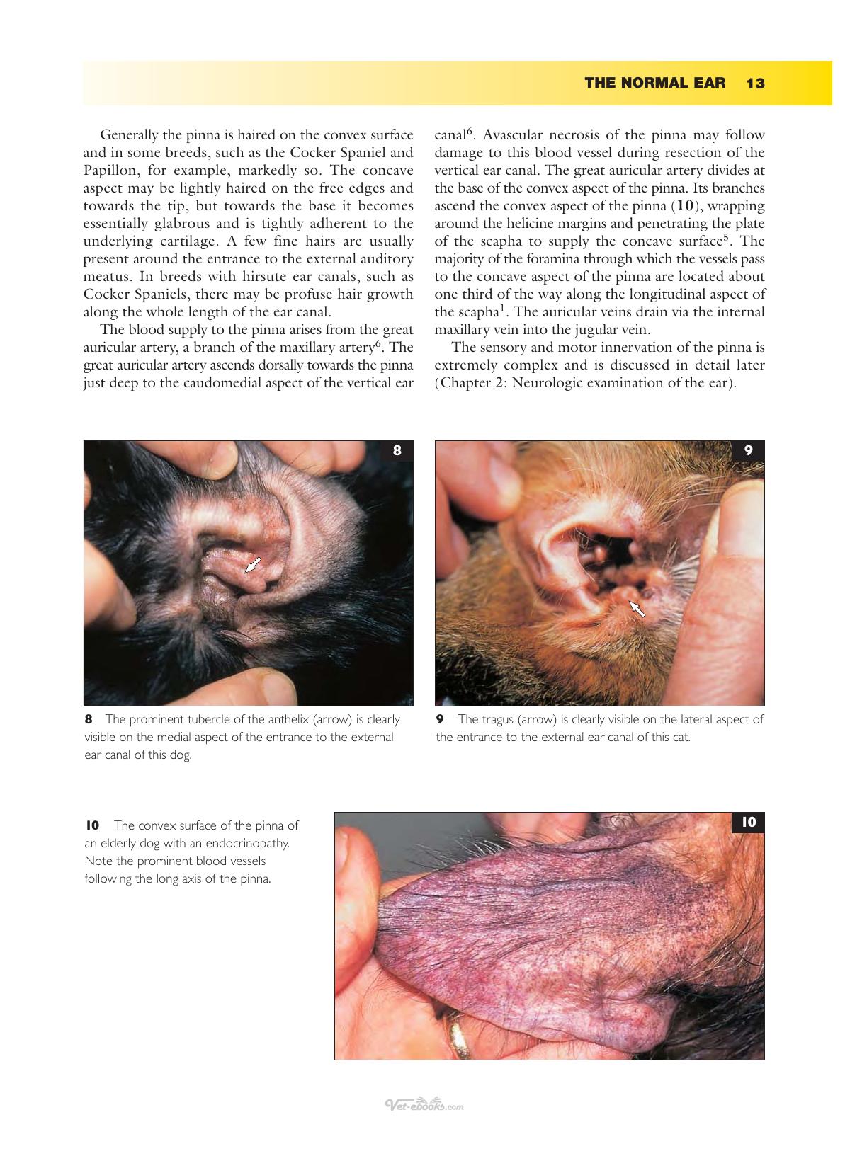Ear Diseases Of The Dog And Cat