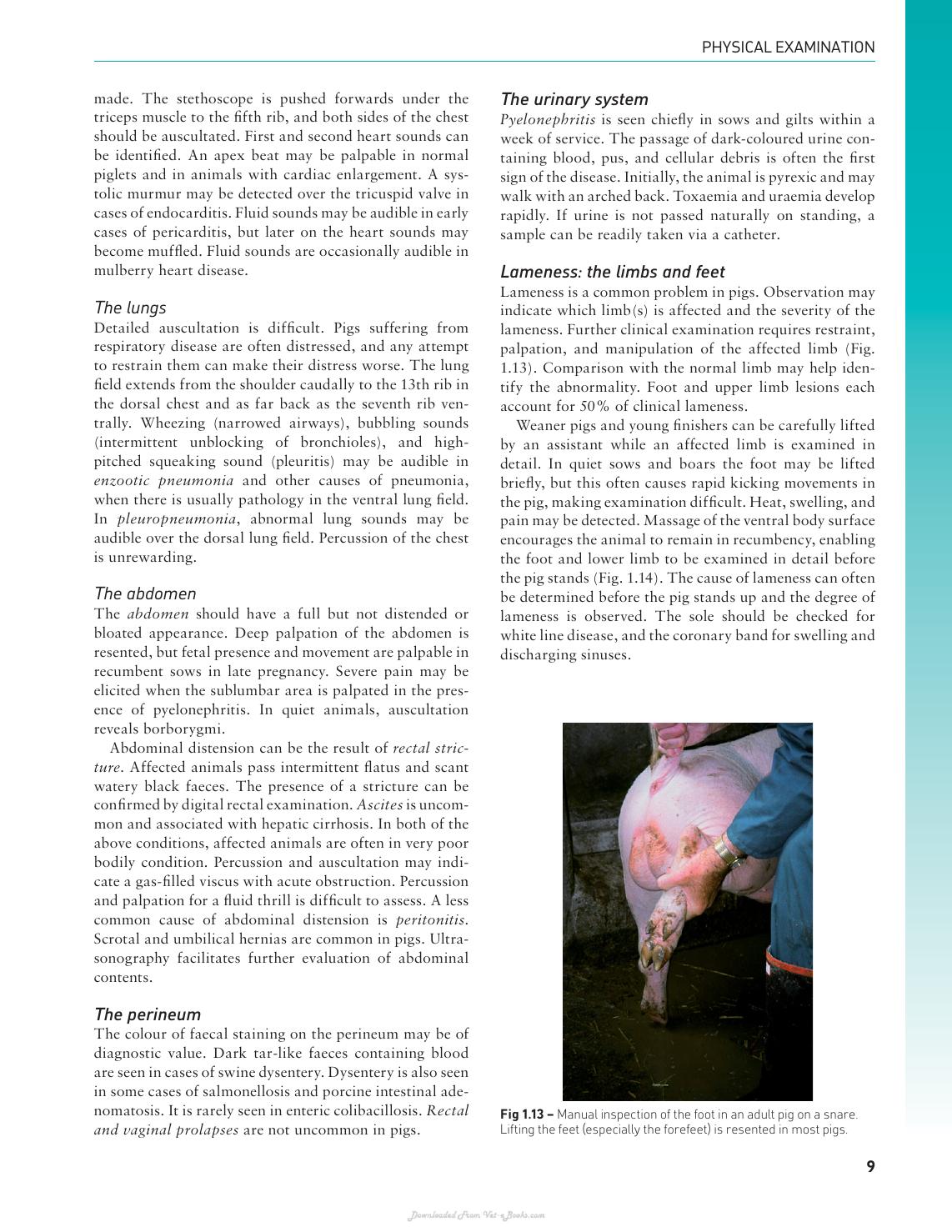 Handbook Of Pig Medicine