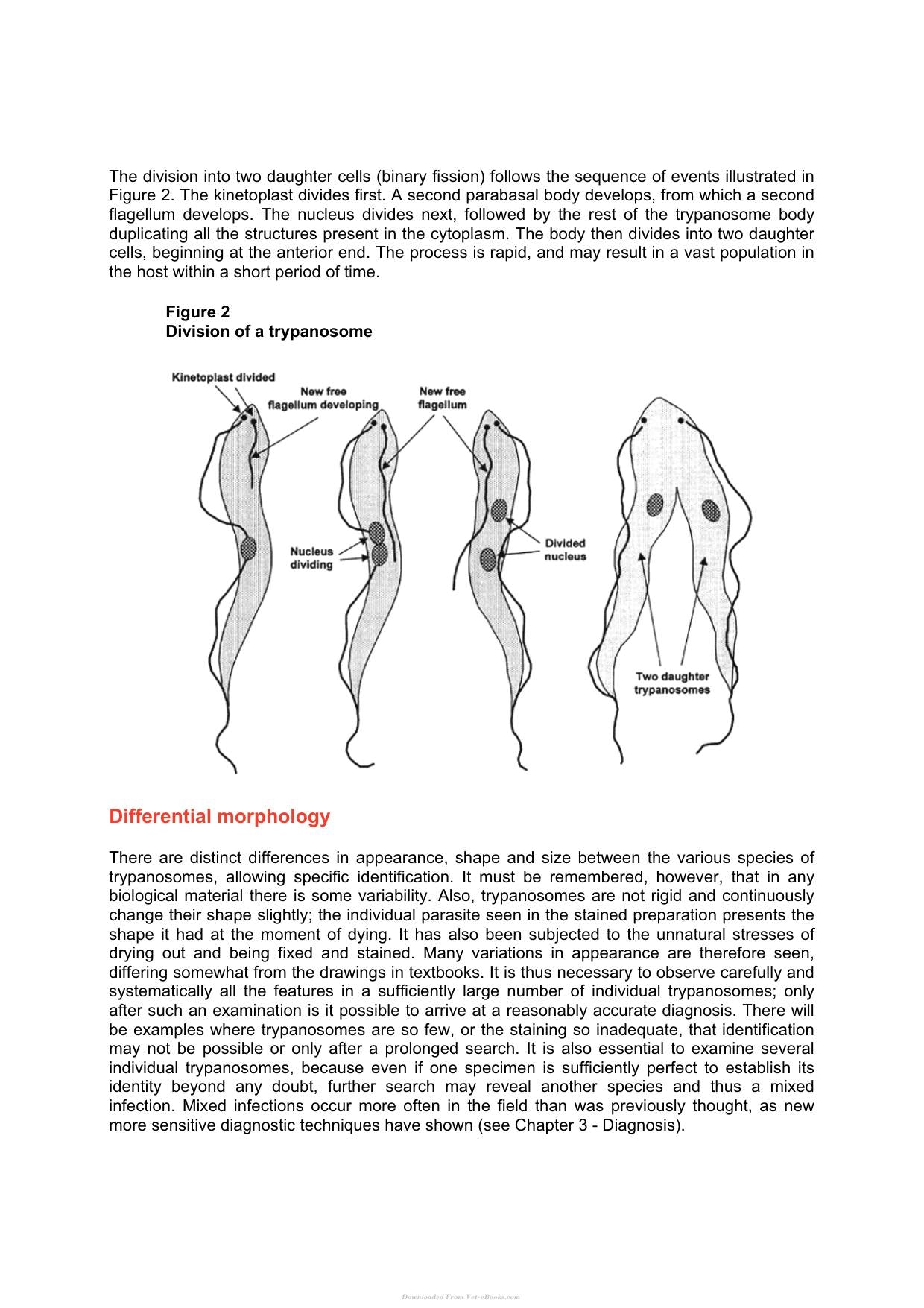 Look inside — page 15