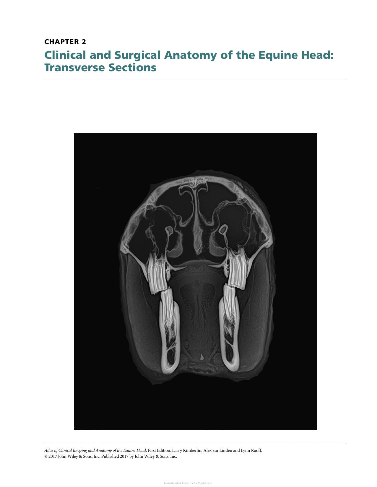 Atlas Of Clinical Imaging And Anatomy Of The Equine Head