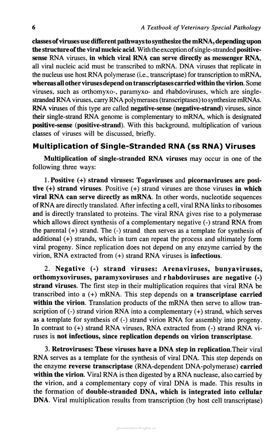 Look inside — page 15