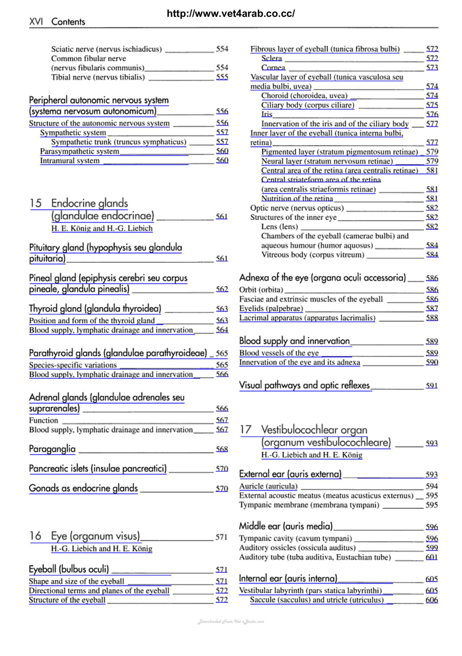 Preview page of Veterinary Anatomy of Domestic Mammals 3rd Edition