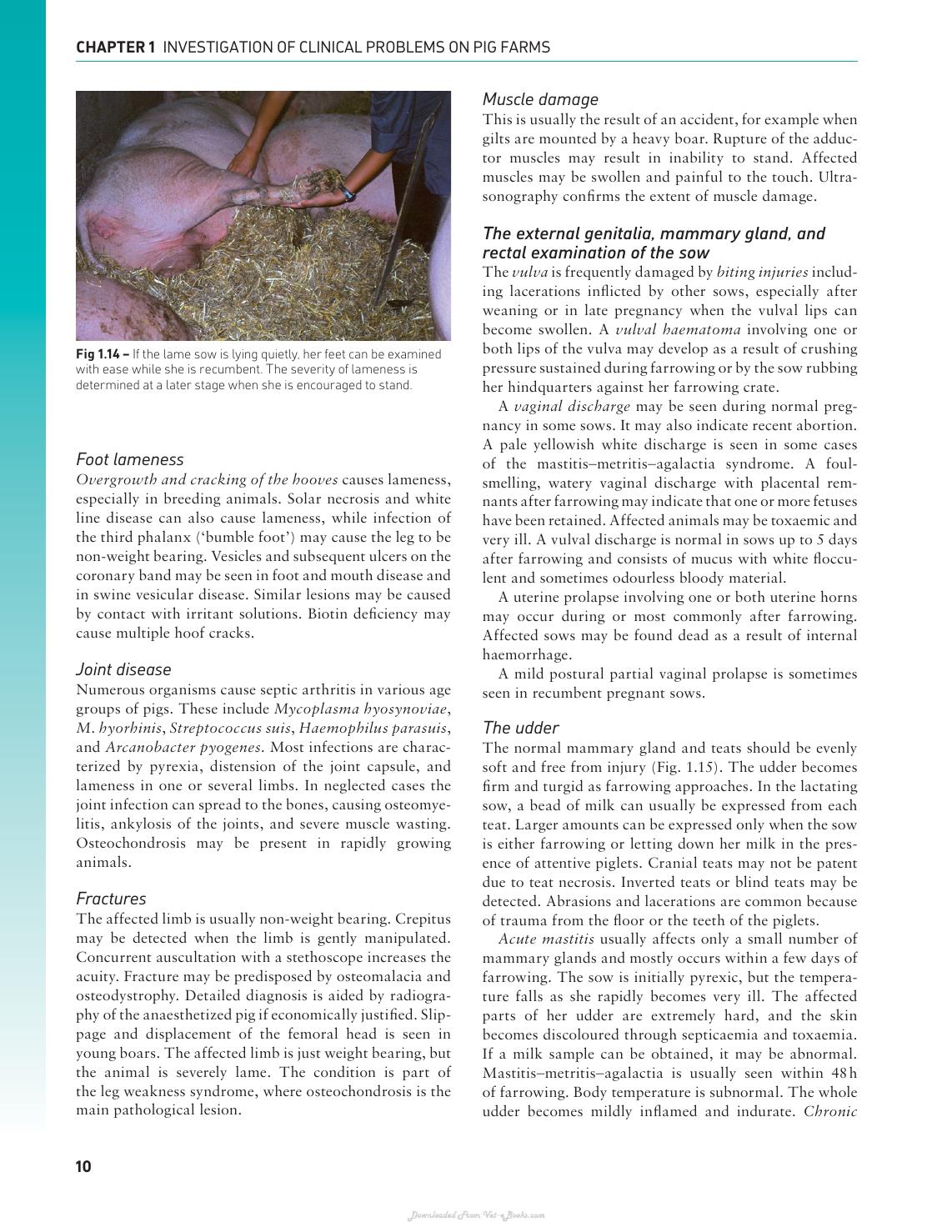 Handbook Of Pig Medicine