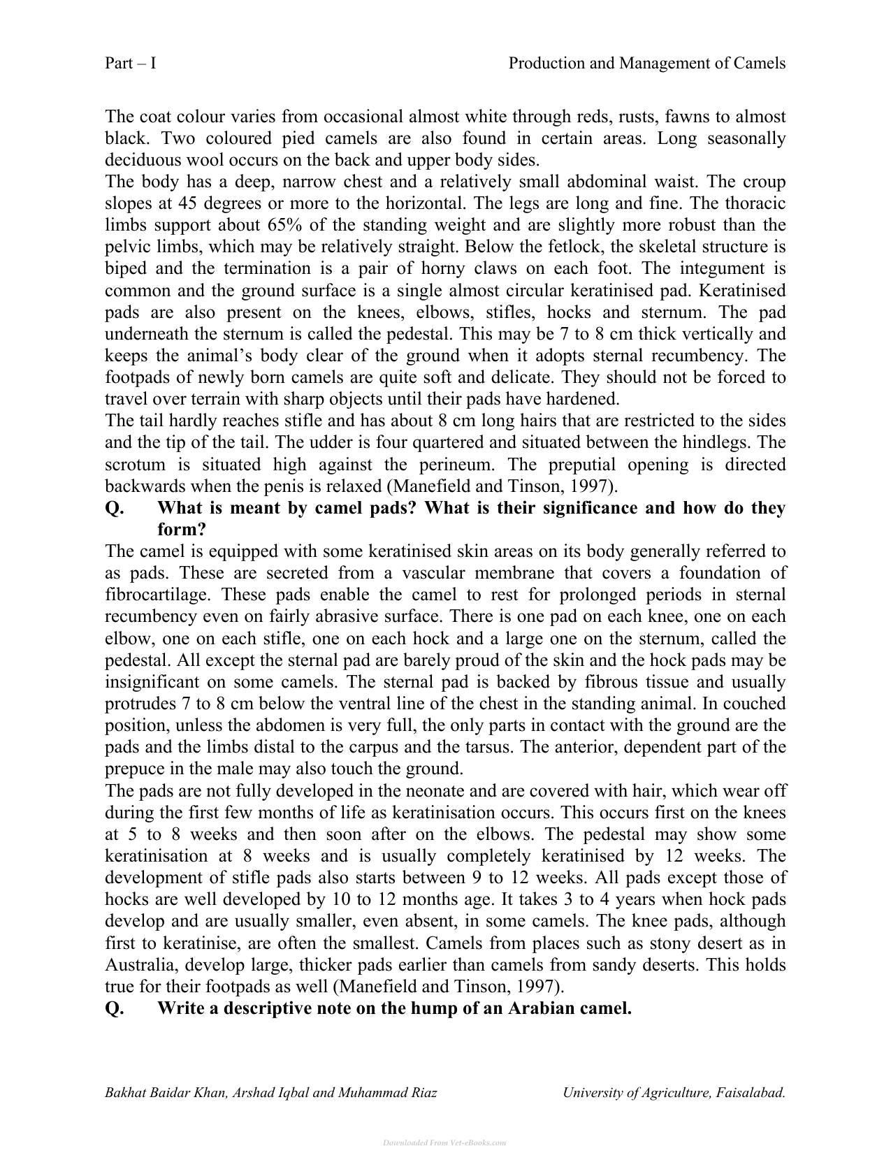 Production And Management Of Camels