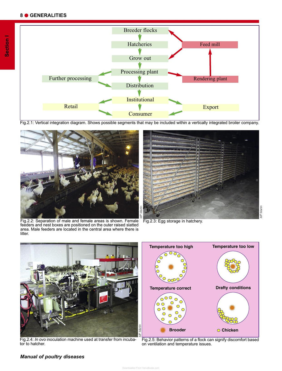 Preview page of Manual of Poultry Diseases