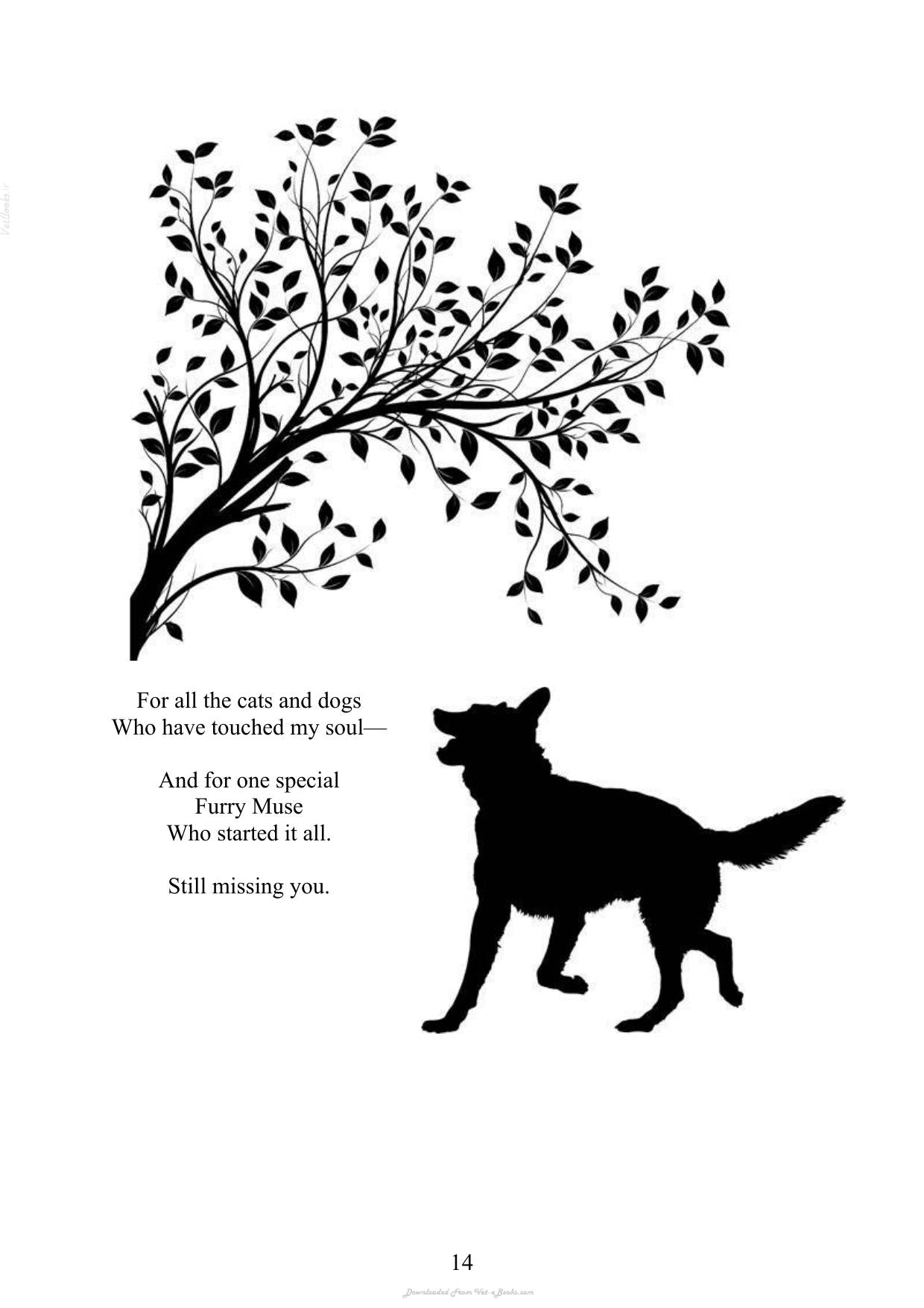 Look inside — page 15