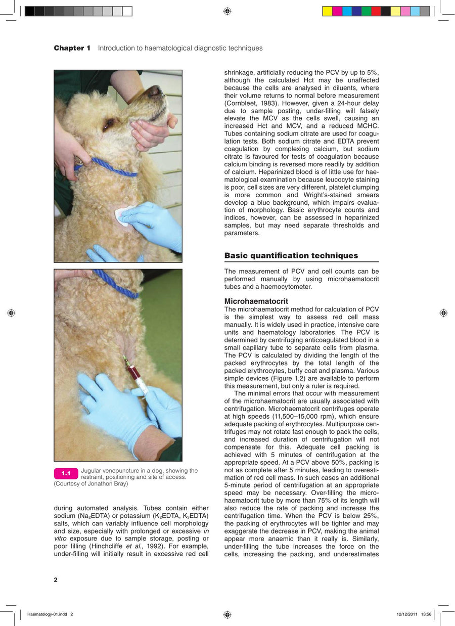 Preview page of Bsava Manual of Canine and Feline Haematology and Transfusion Medicine