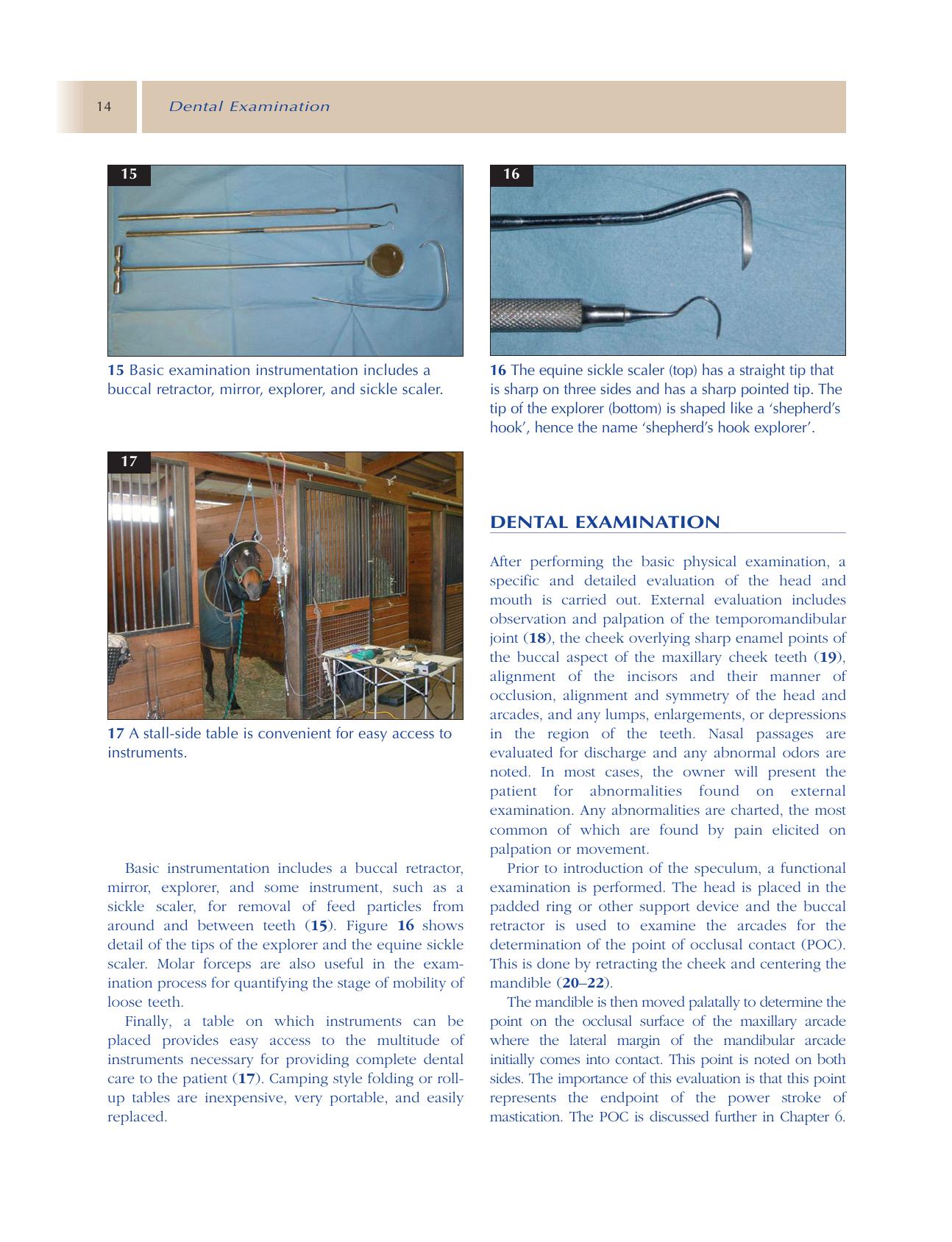 Principles Of Equine Dentistry