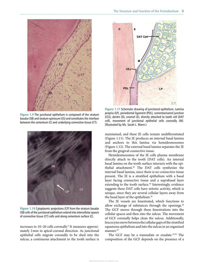 Veterinary Periodontology