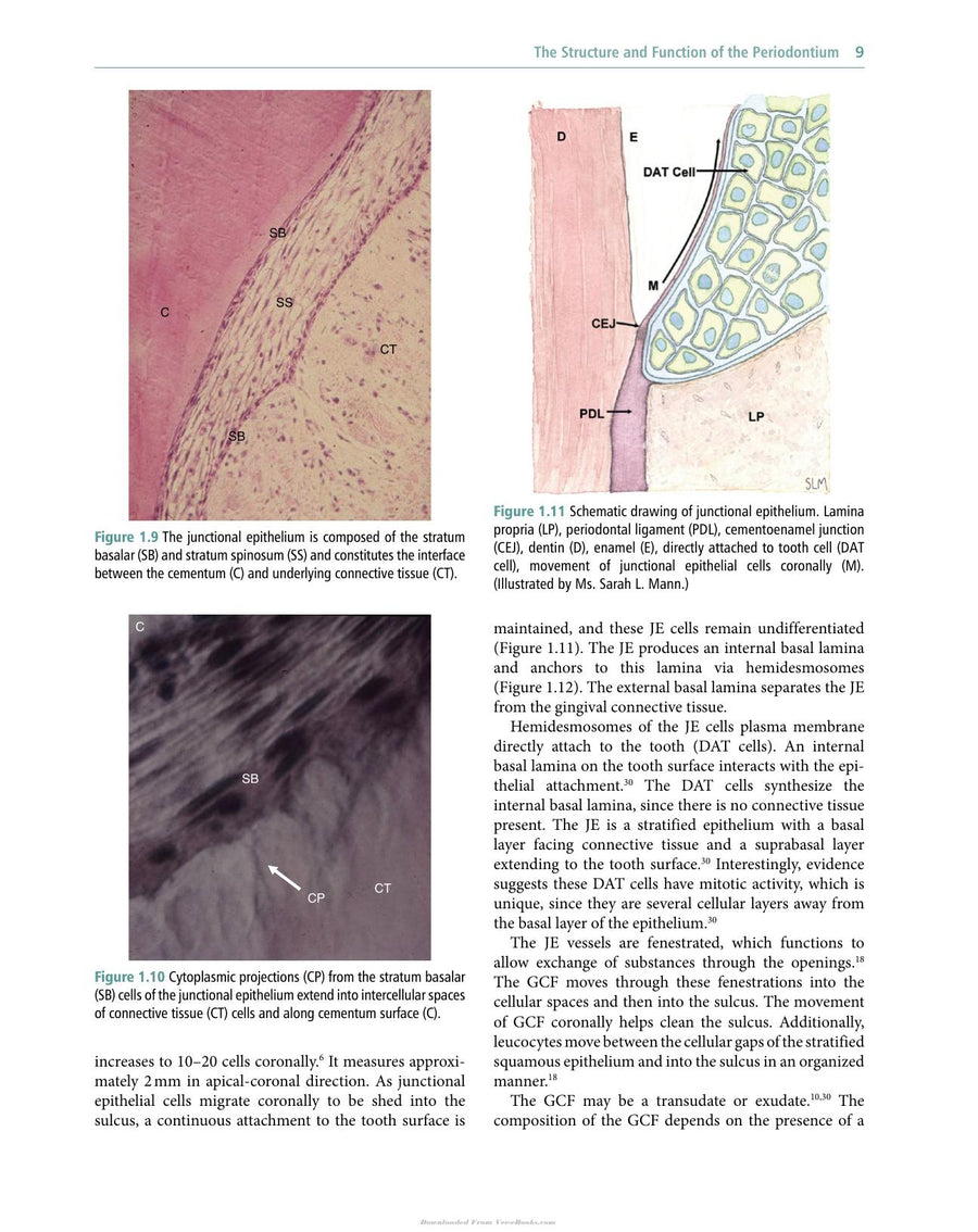 Preview page of Veterinary Periodontology