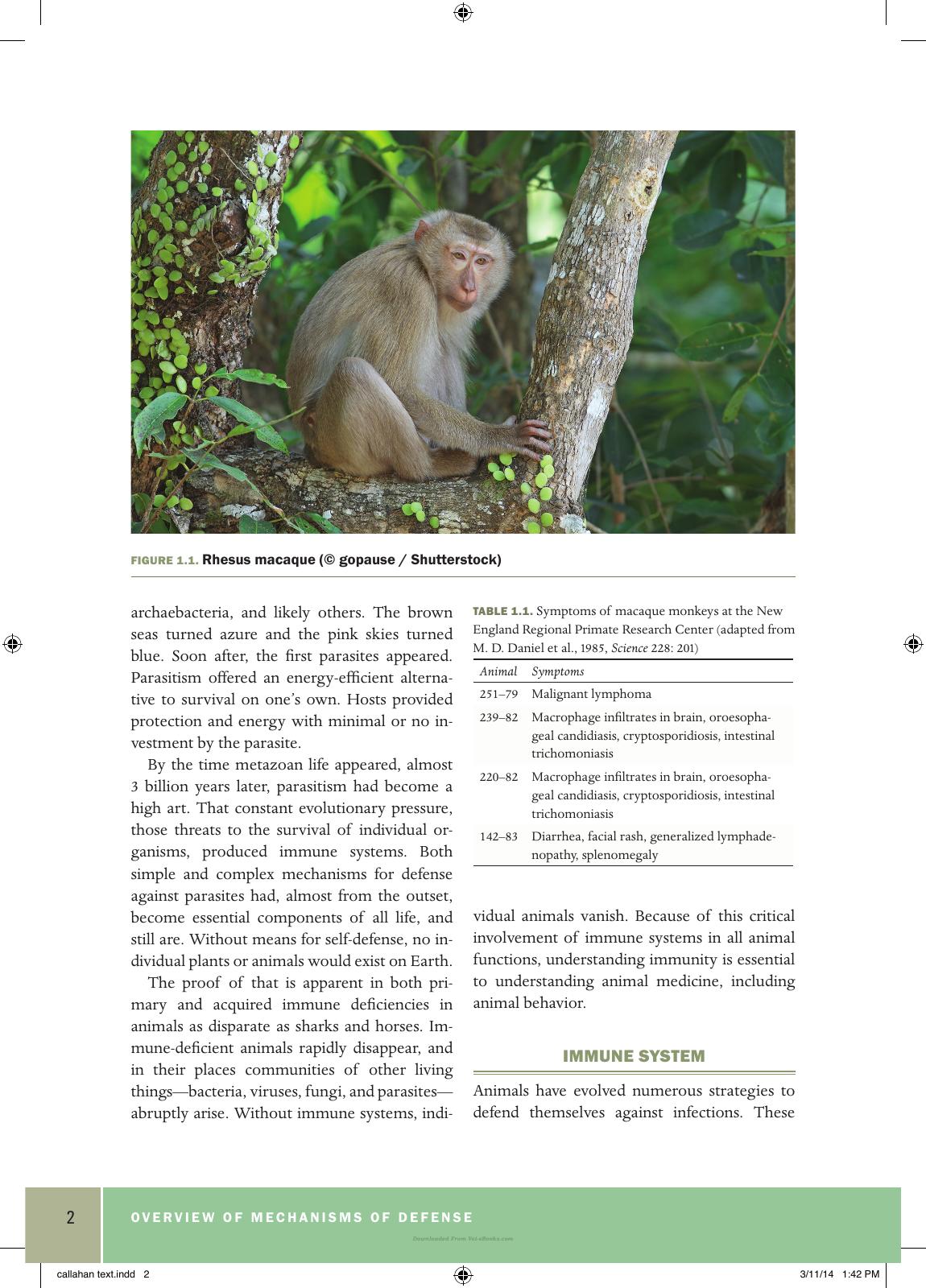 Basic Veterinary Immunology