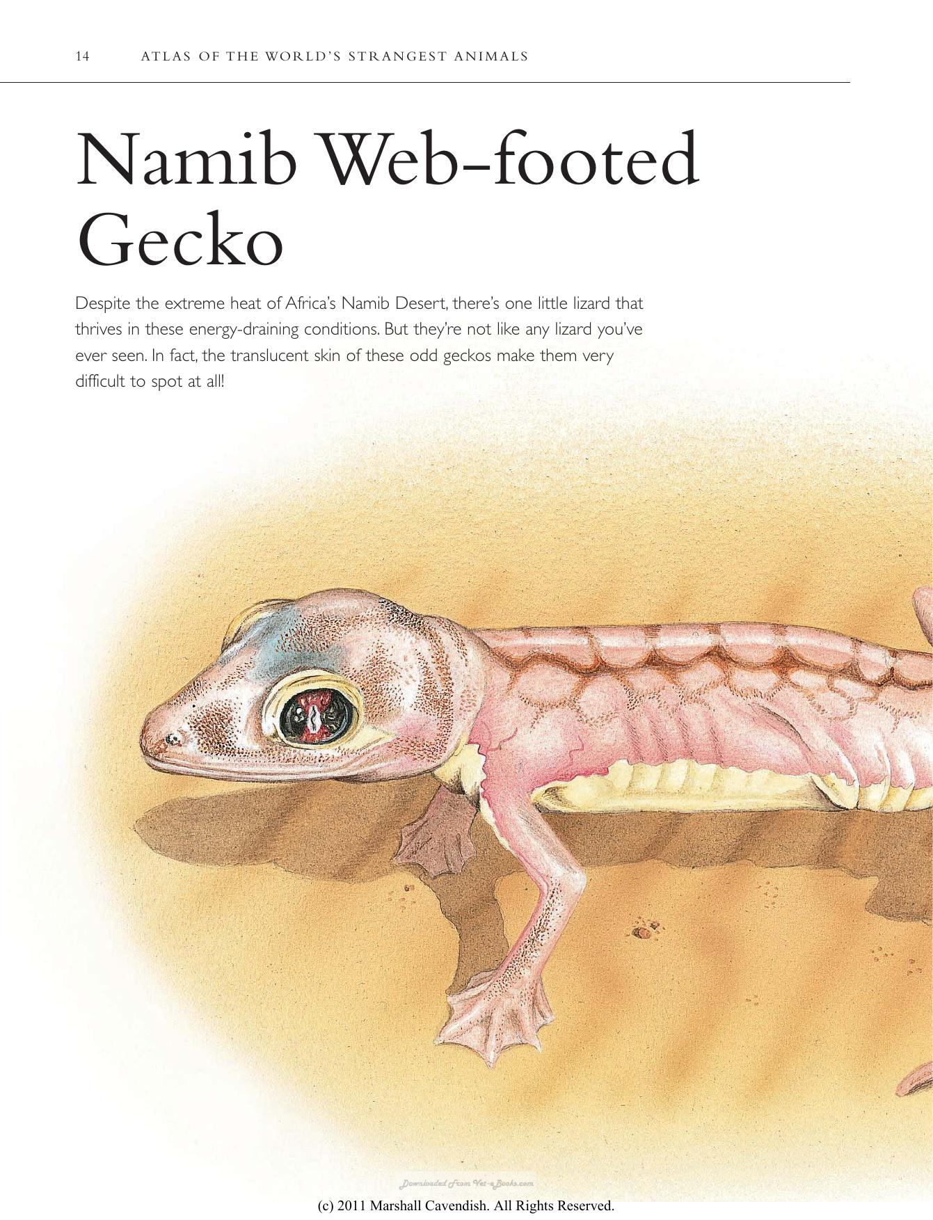 Atlas Of The Worlds Strangest Animals