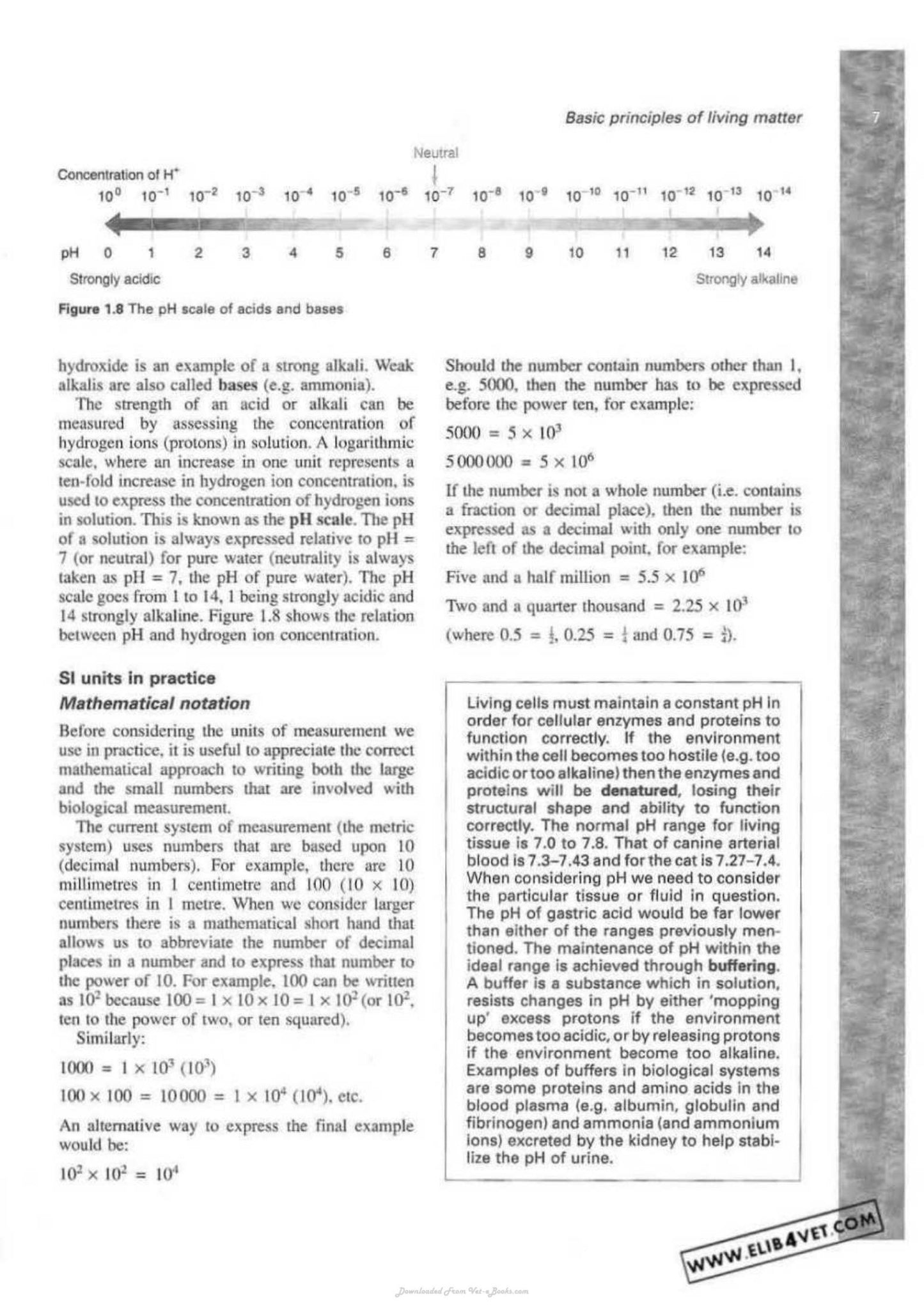 Veterinary Physiology And Applied Anatomy A Textbook For Veterinary Nurses And Technicians