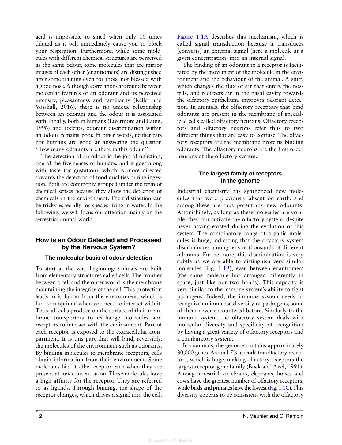 Olfaction In Animal Behaviour And Welfare