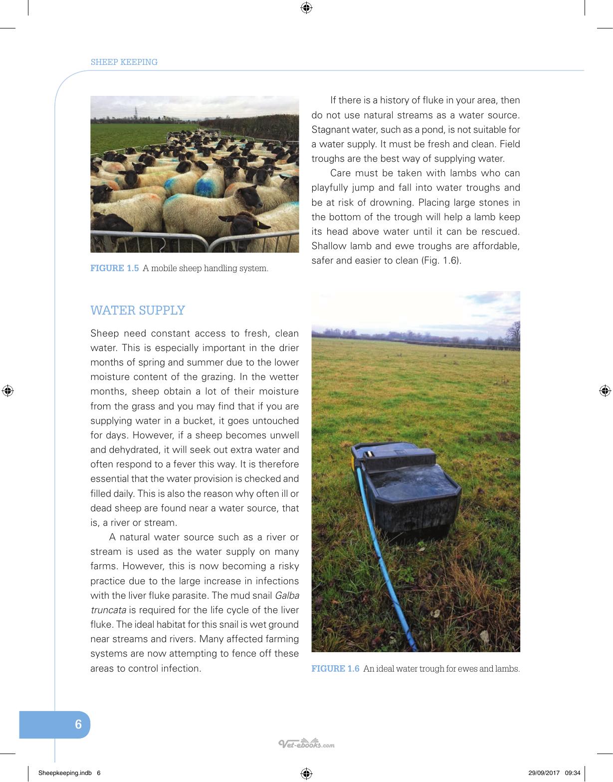 Sheep Keeping The Professional Smallholder Series