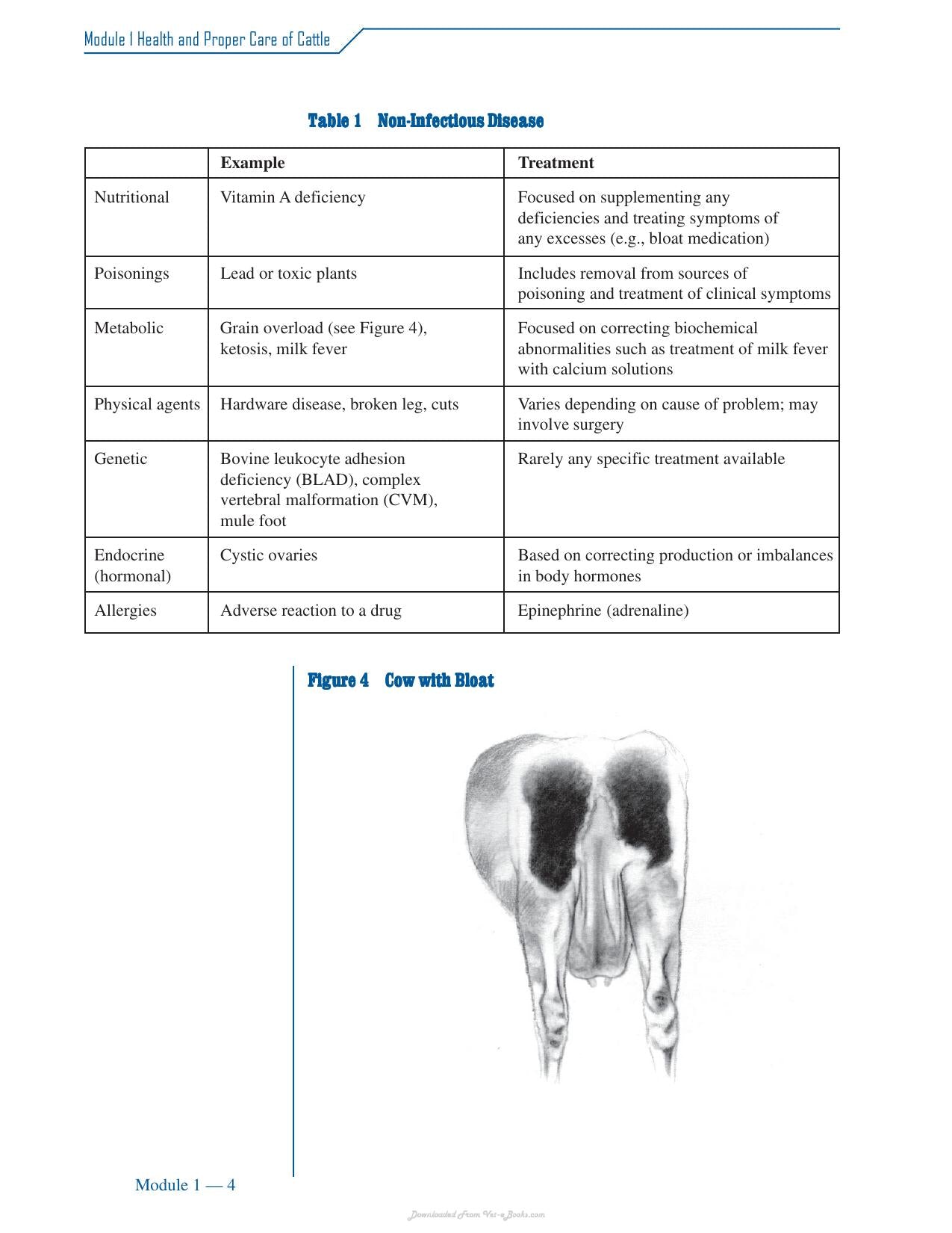 Cattle Medicine Responsible Use Course
