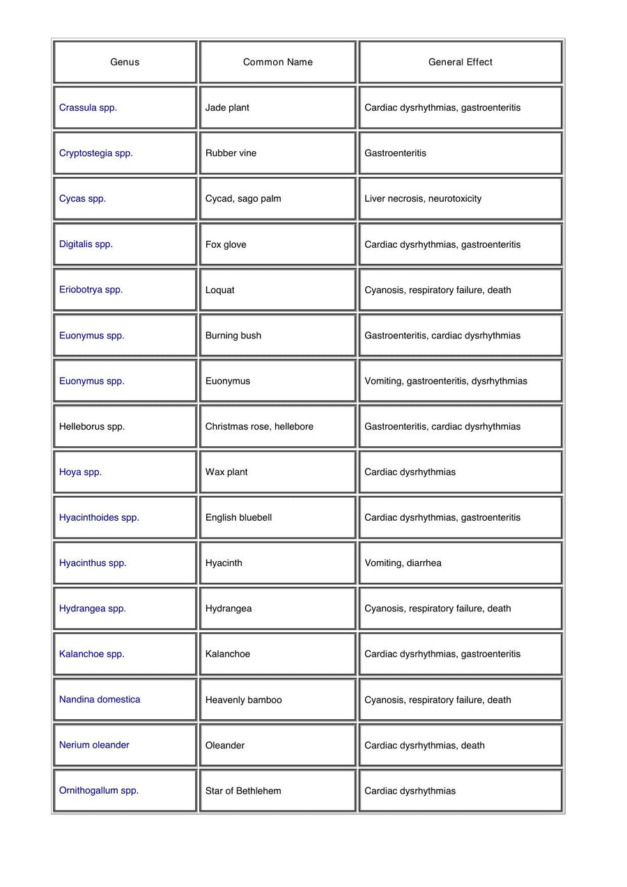 Preview page of A Guide to Poisonous House and Garden Plants