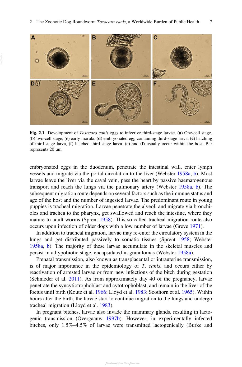 Look inside — page 15