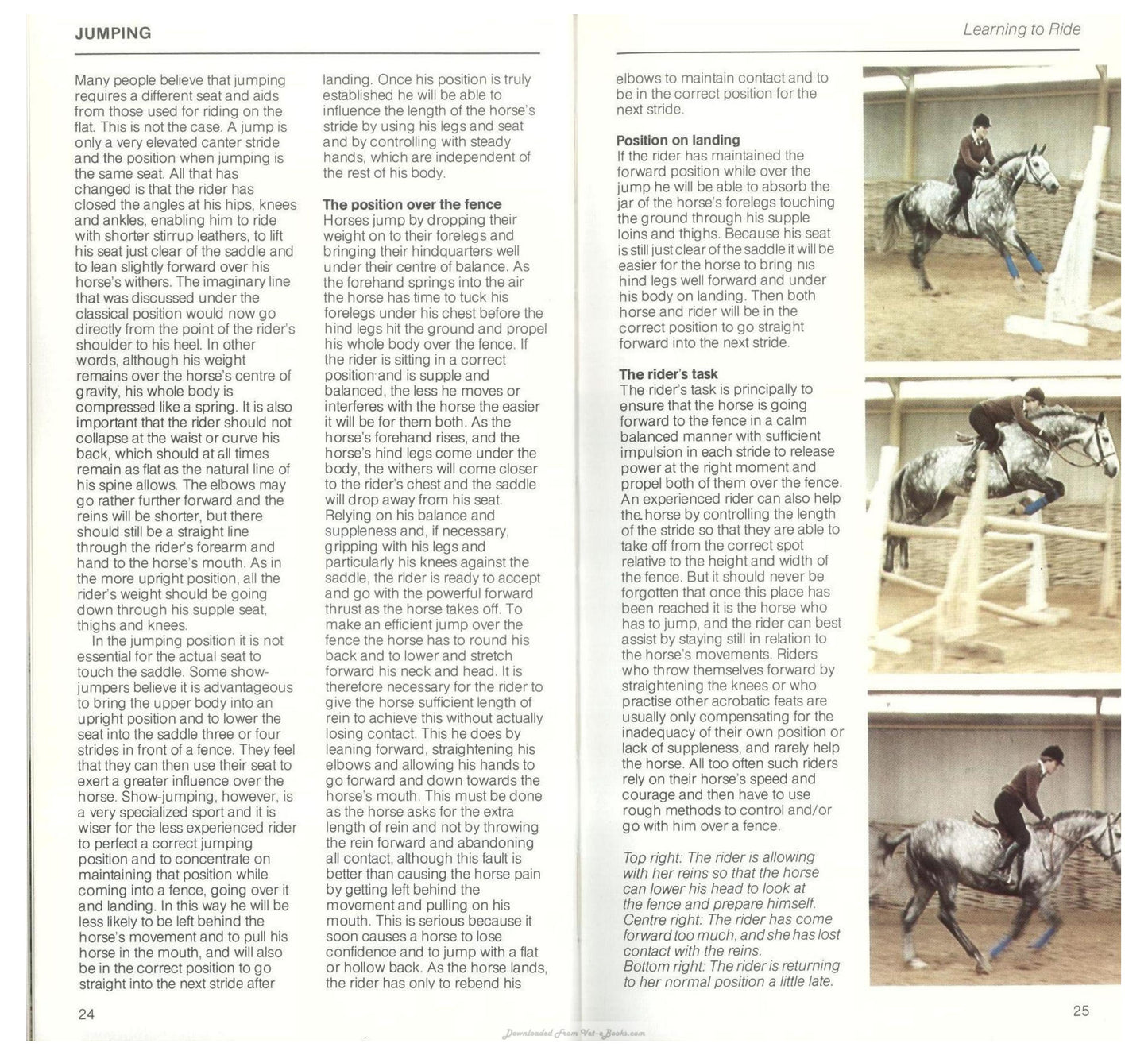 Young Riders Guide To Horse And Pony Care
