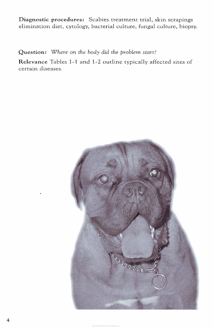Dermatology For The Small Animal Practitioner