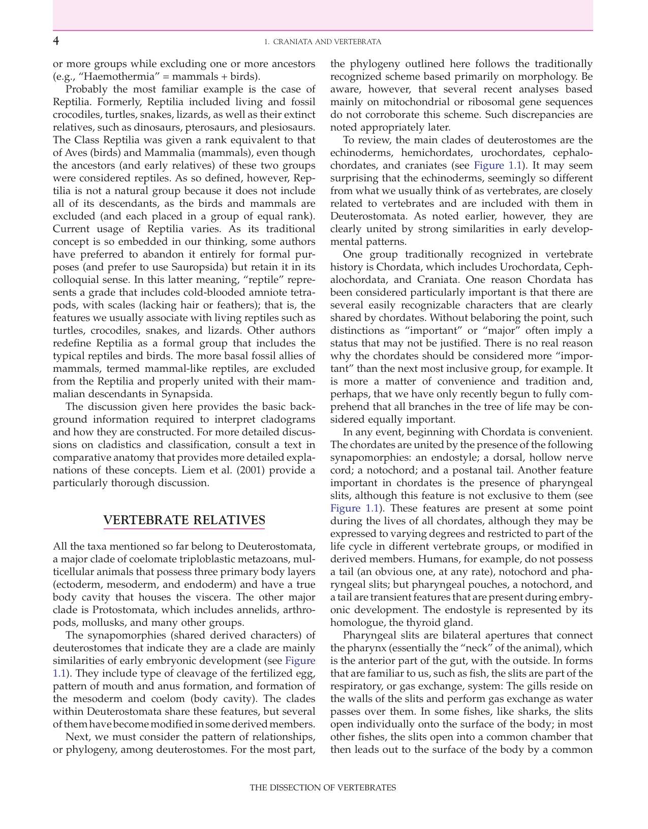 The Dissection Of Vertebrates 2Nd Edition