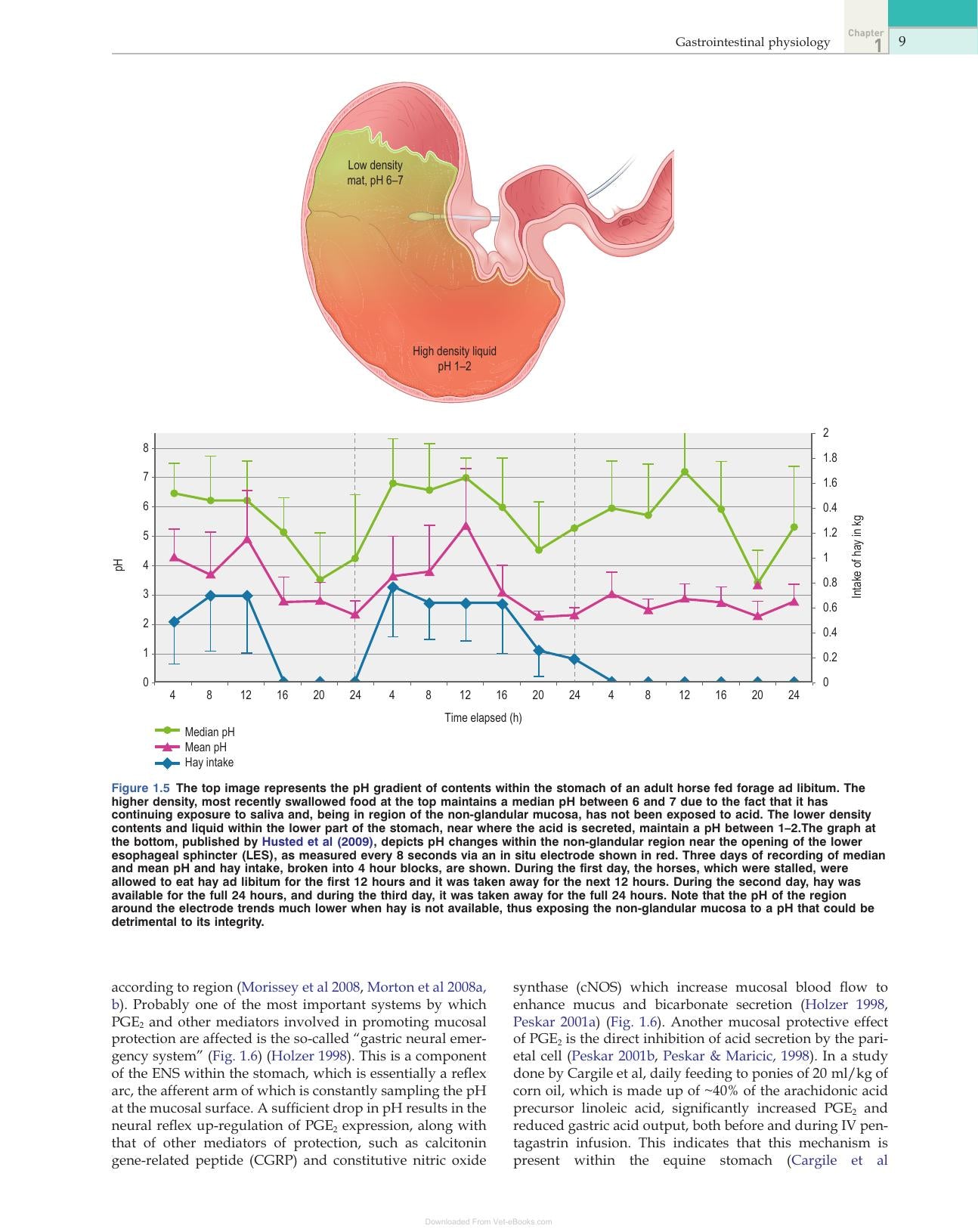 Equine Applied And Clinical Nutrition